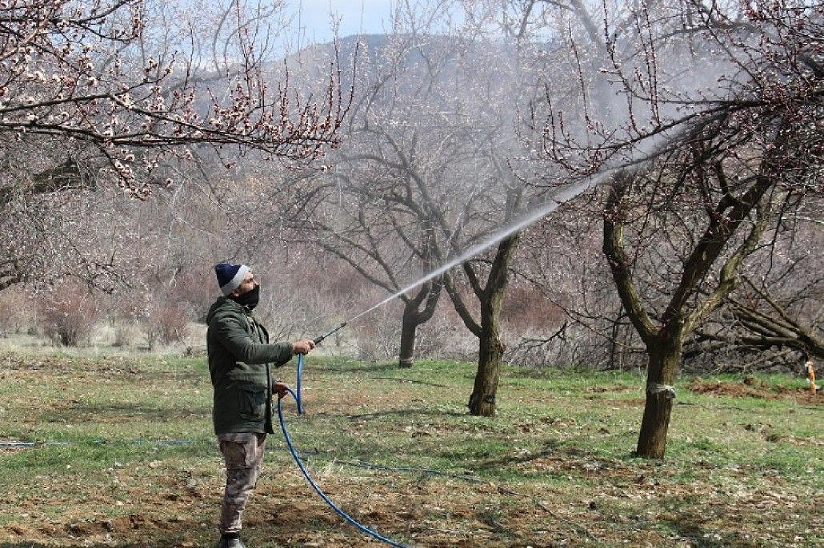 Elazığ'da ağaçlar beyaz gelinliğini giydi, muhteşem görüntü ortaya çıktı