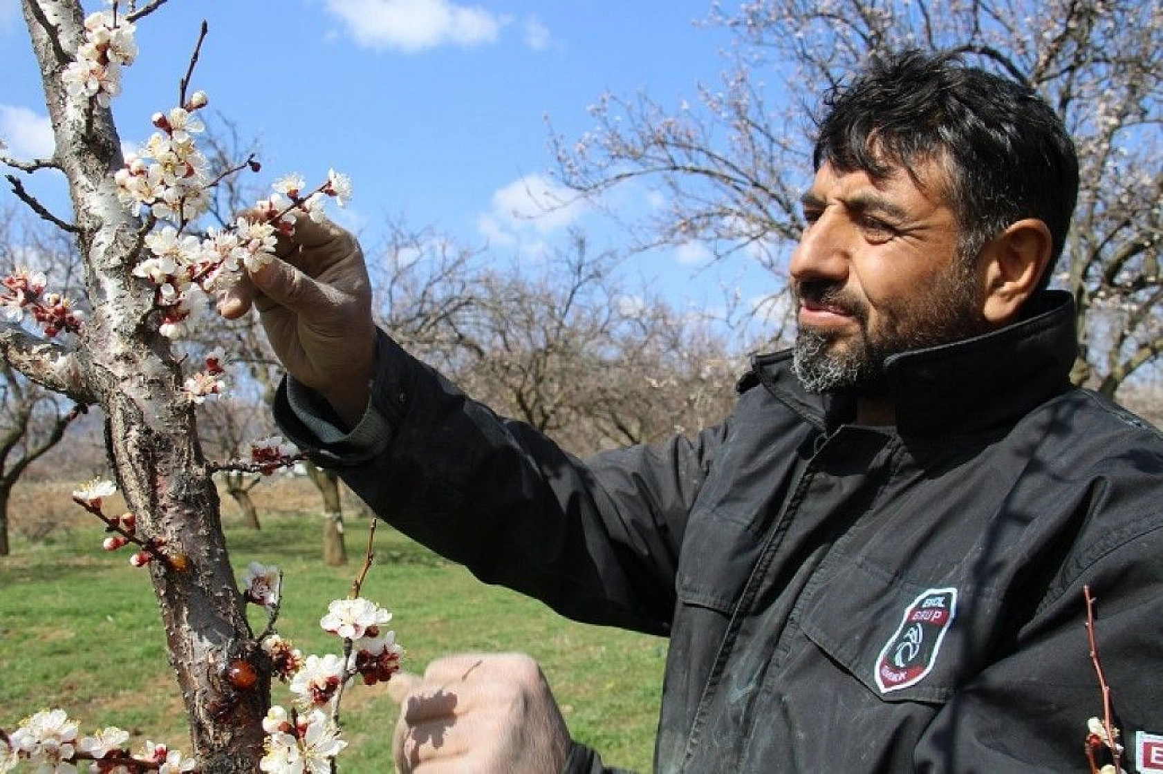 Elazığ'da ağaçlar beyaz gelinliğini giydi, muhteşem görüntü ortaya çıktı