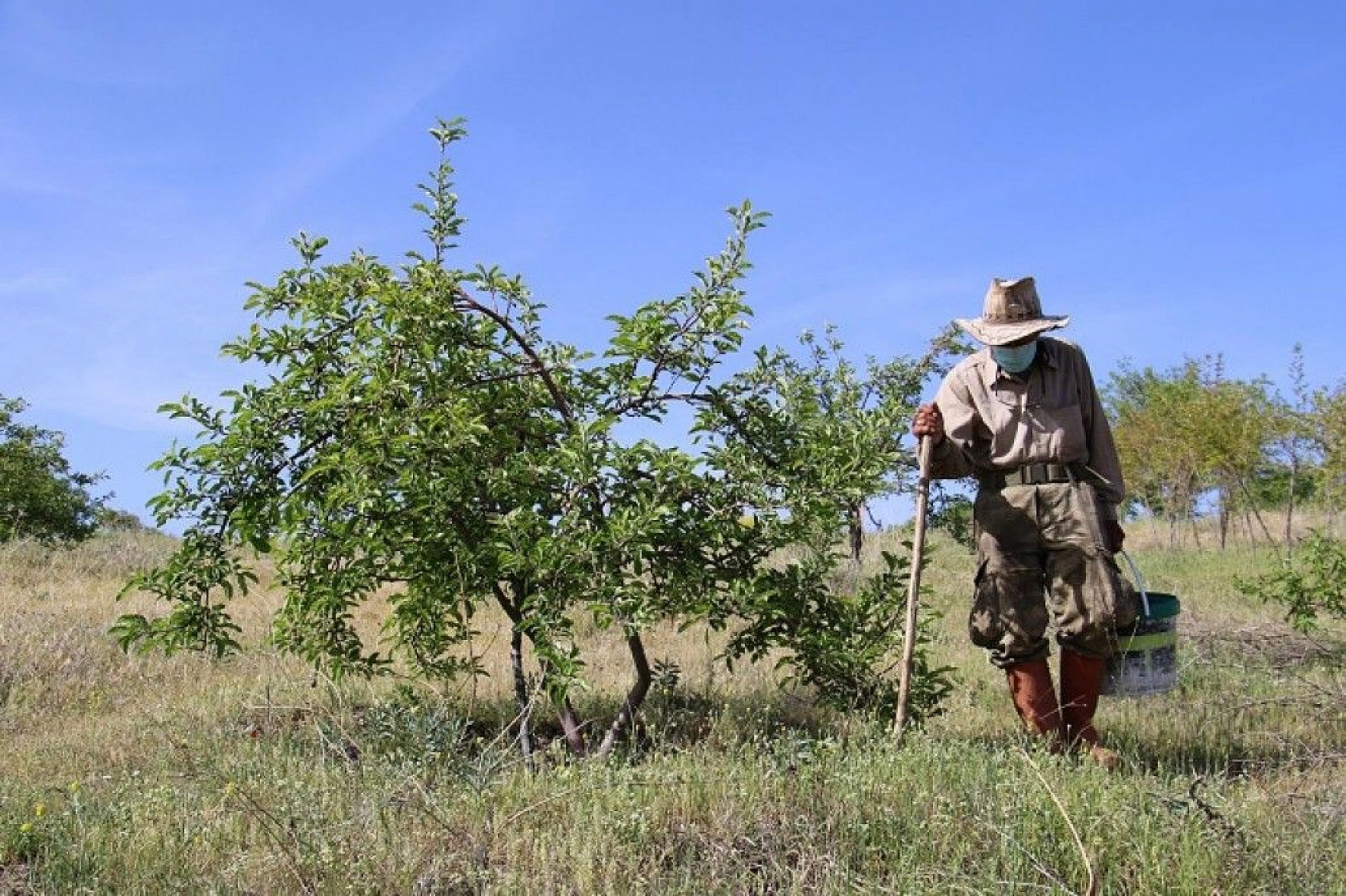 Robinson Ziya dedenin adası baharla birlikte yeşile büründü