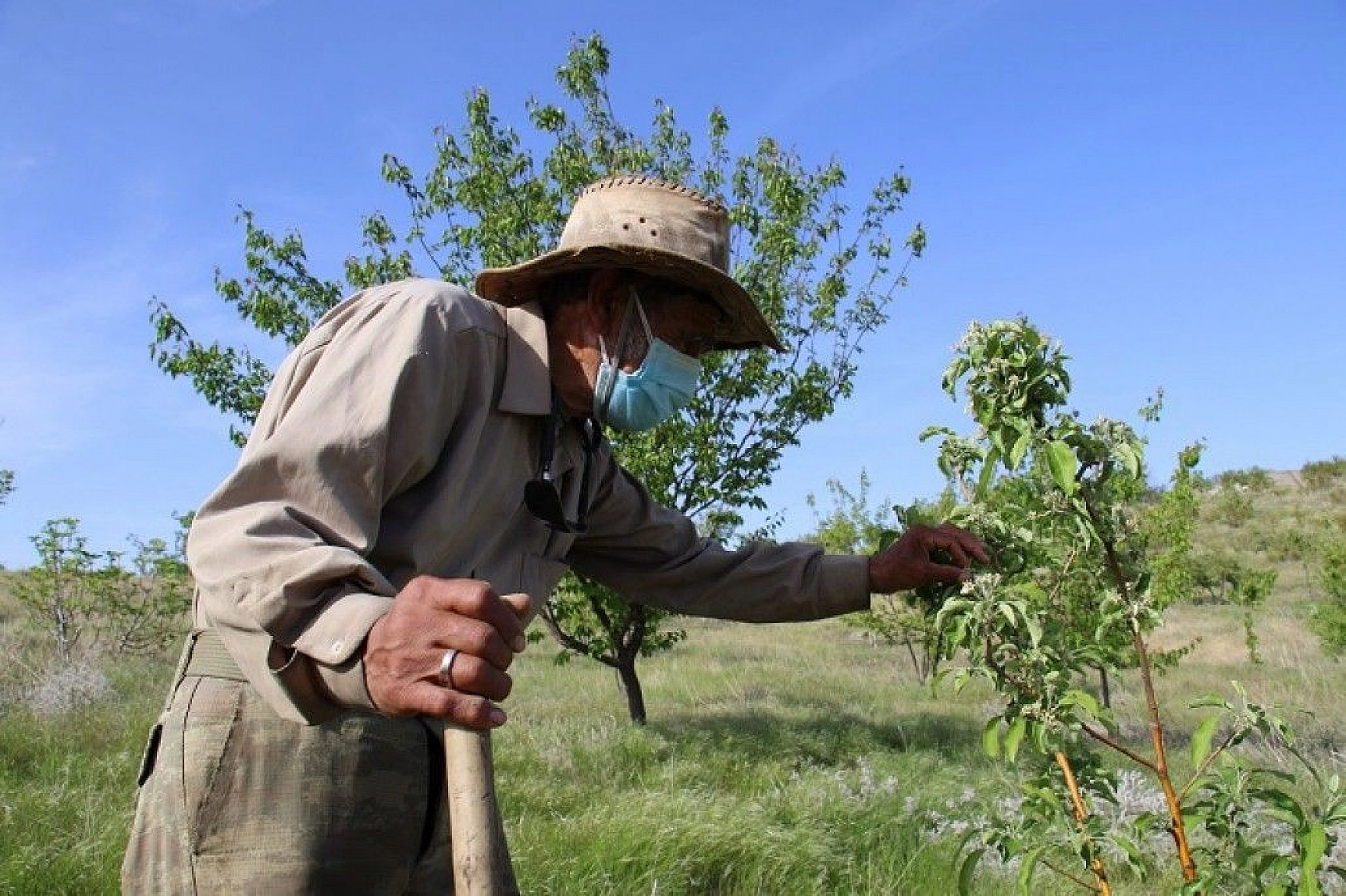 Robinson Ziya dedenin adası baharla birlikte yeşile büründü