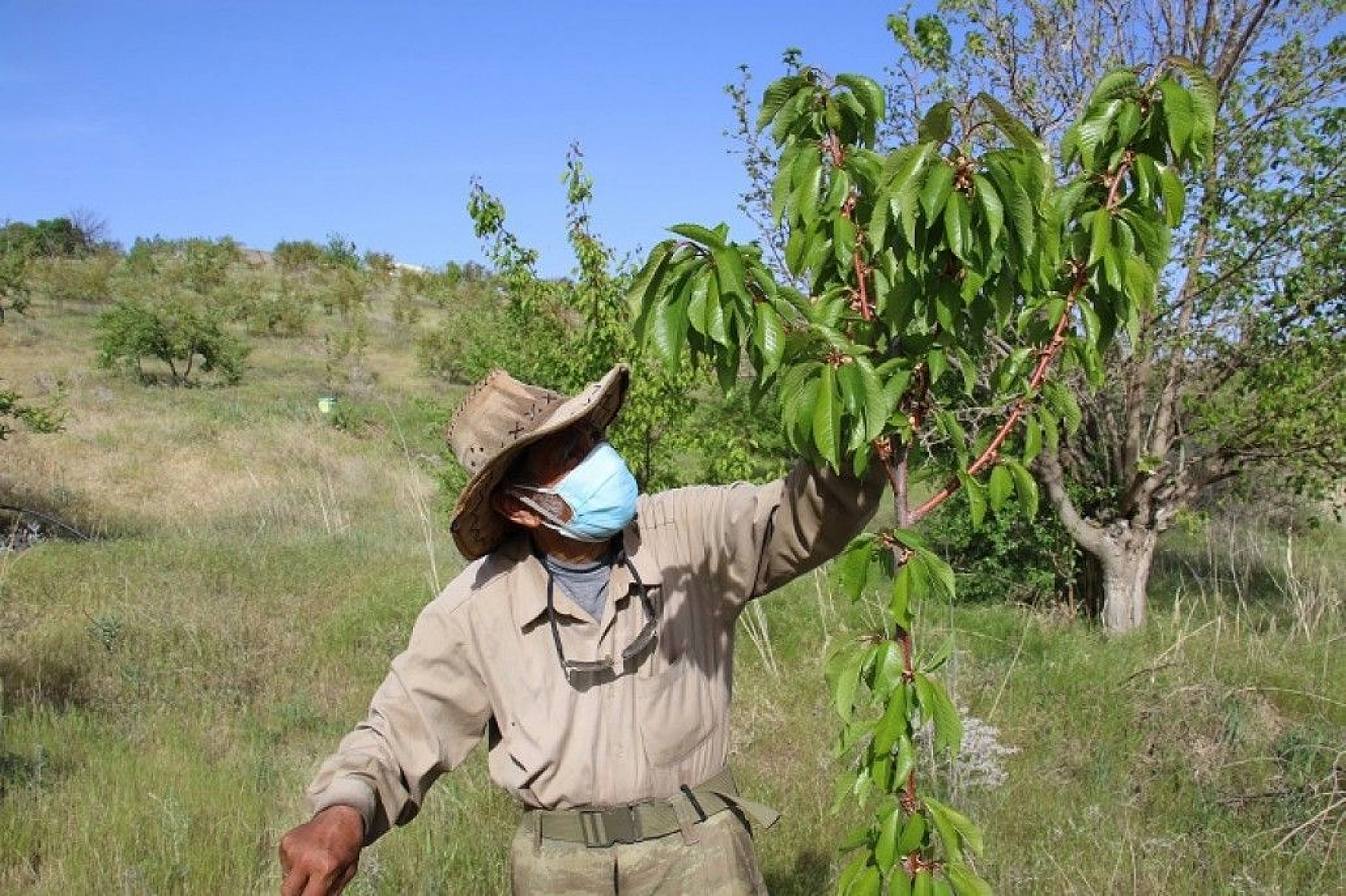 Robinson Ziya dedenin adası baharla birlikte yeşile büründü