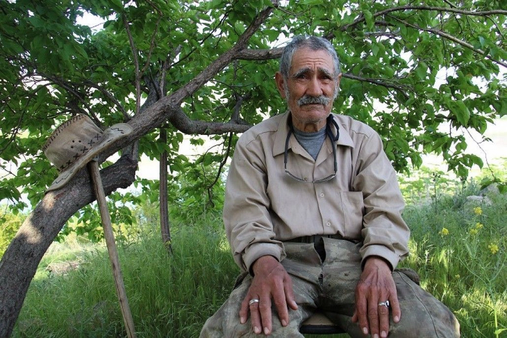 Robinson Ziya dedenin adası baharla birlikte yeşile büründü