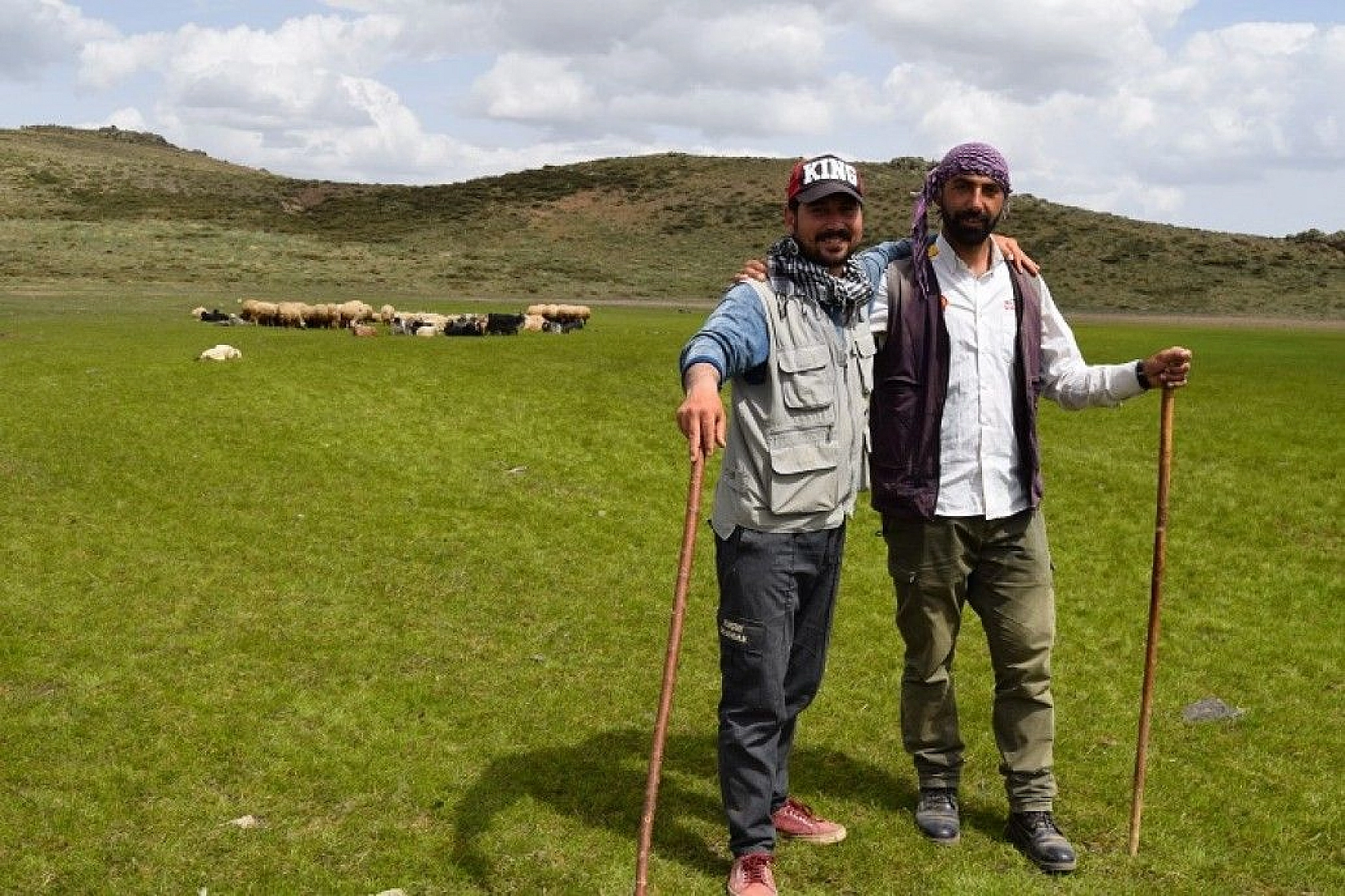 Elazığ'ın kalp gölü Bervi kurudu, hayvanlara otlak oldu