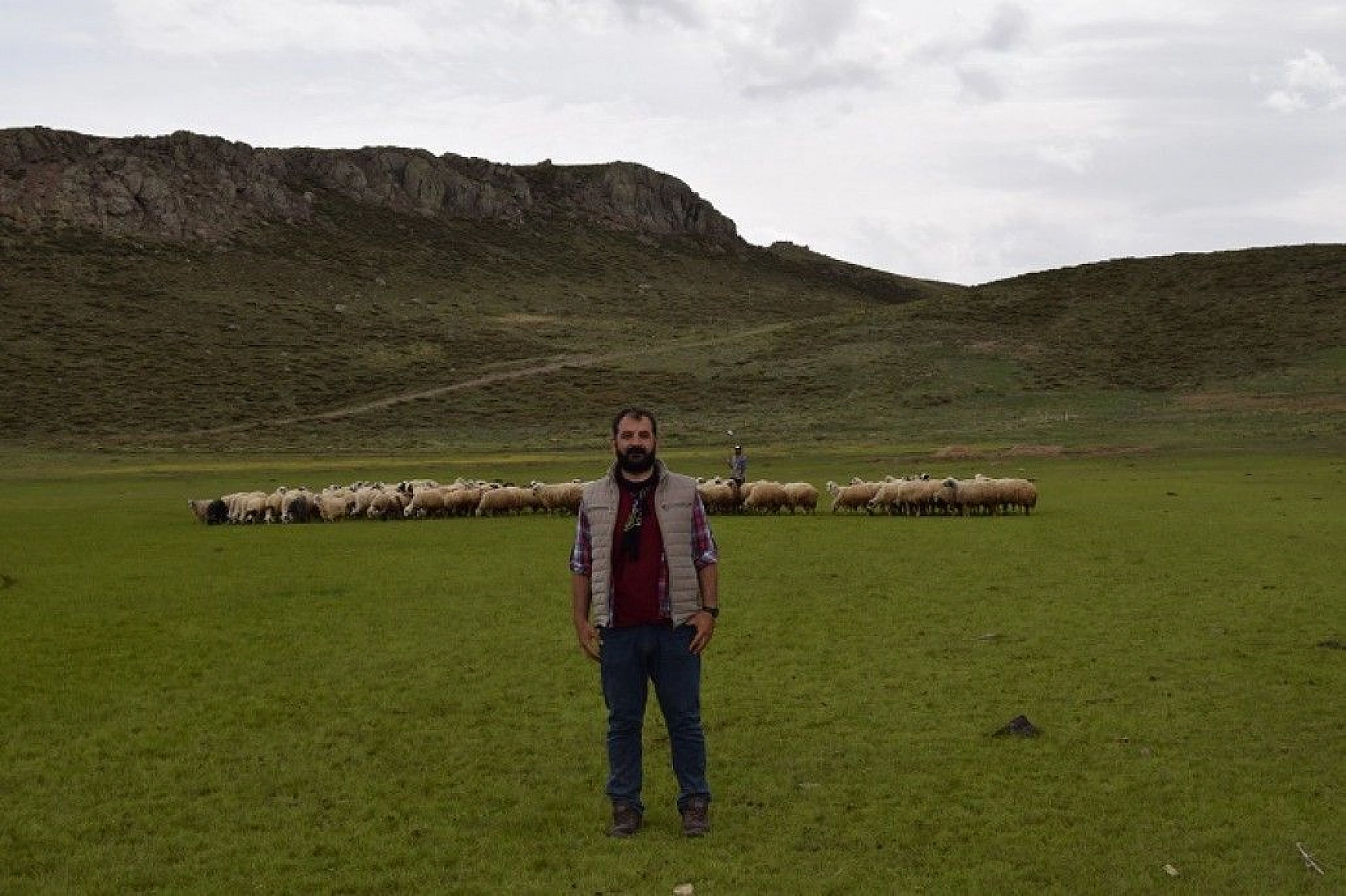 Elazığ'ın kalp gölü Bervi kurudu, hayvanlara otlak oldu