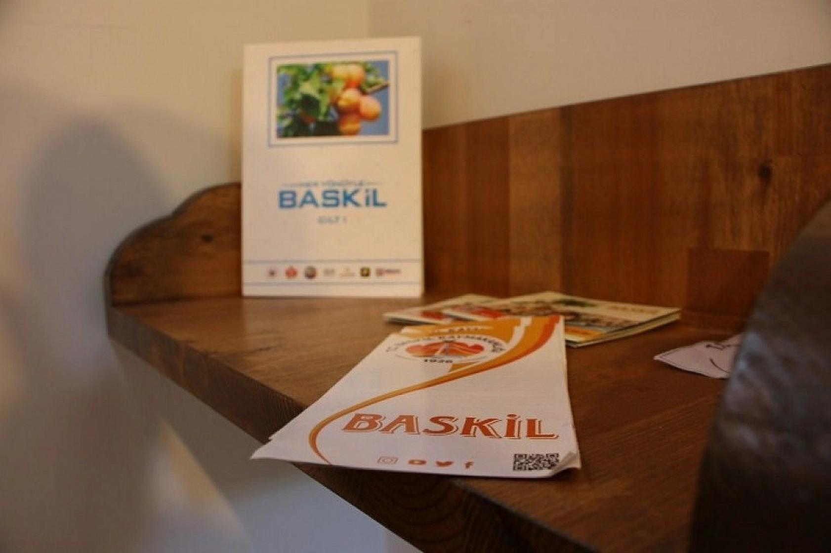Tüm detaylarıyla Baskil Kültür-Sanat Evi ve Müzesi