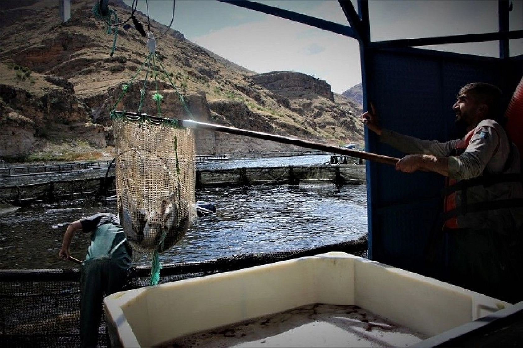 Türkiye'nin üretim merkezi Elazığ'dan dünyaya Türk Somonu