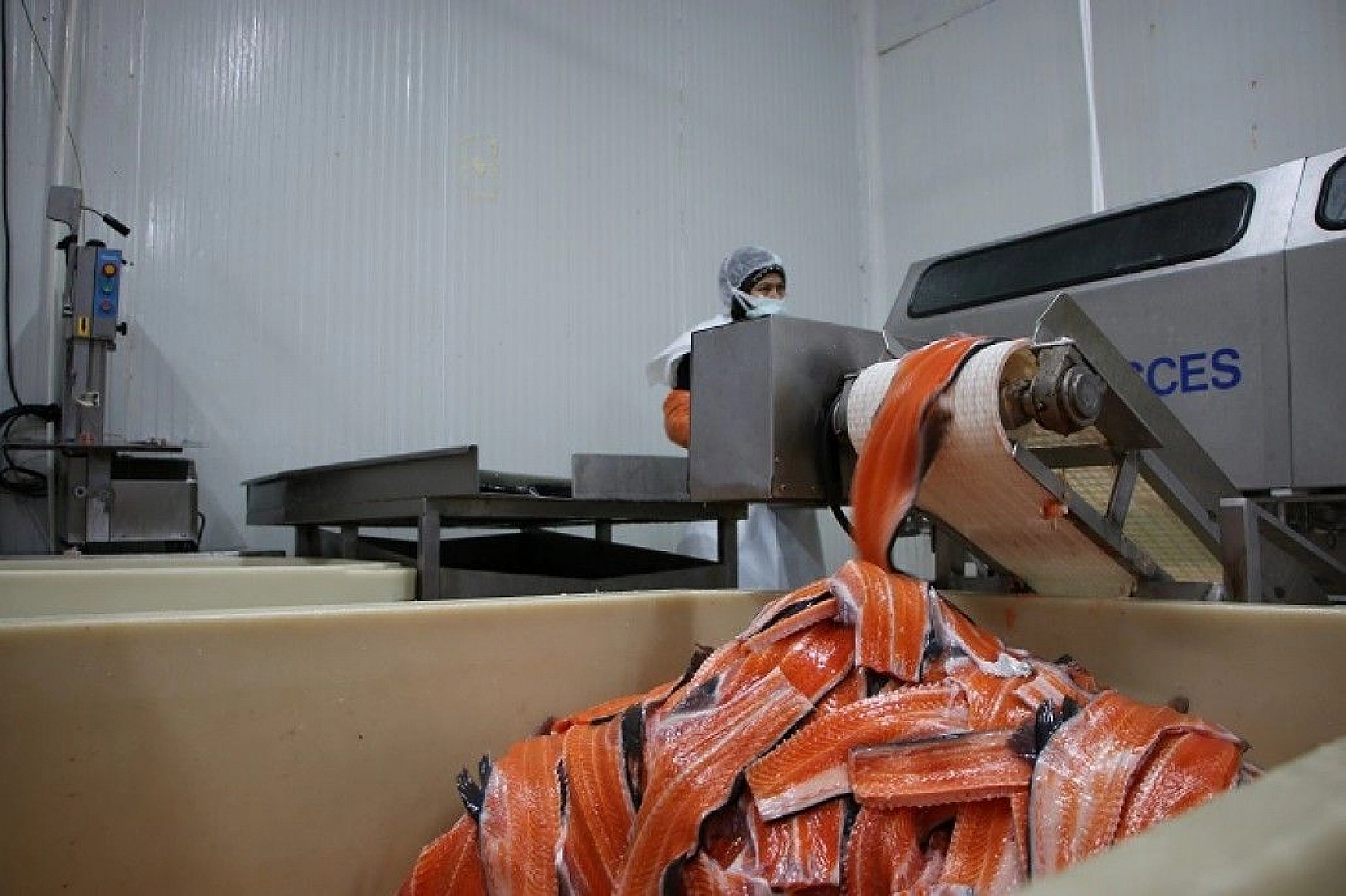 Türkiye'nin üretim merkezi Elazığ'dan dünyaya Türk Somonu