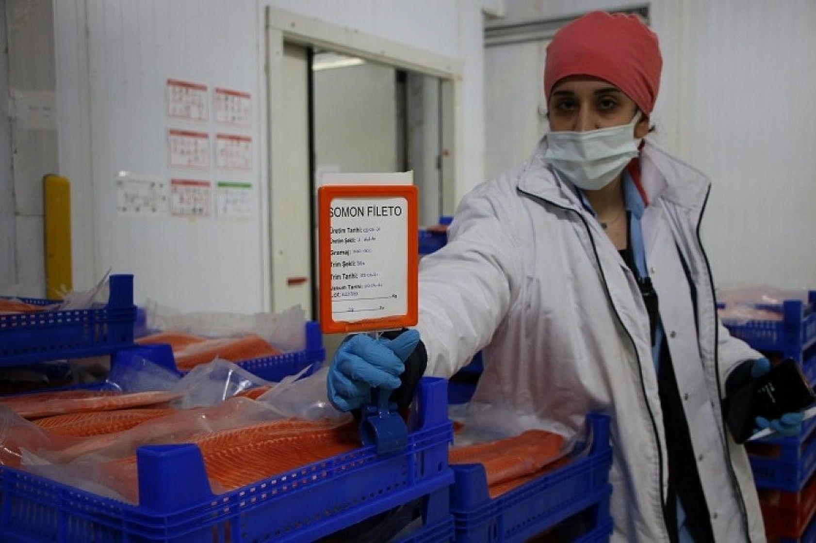 Türkiye'nin üretim merkezi Elazığ'dan dünyaya Türk Somonu