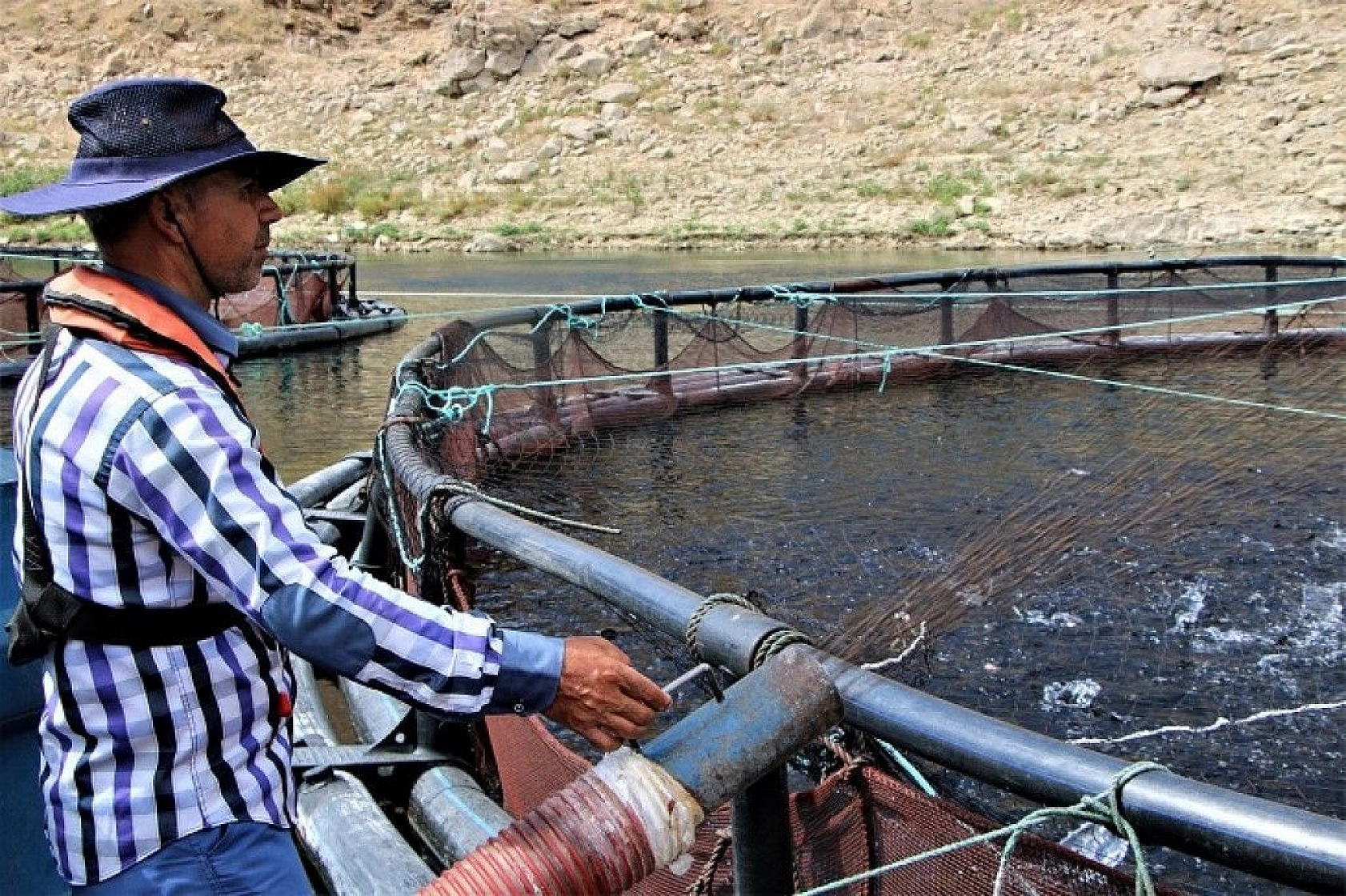 Türkiye'nin üretim merkezi Elazığ'dan dünyaya Türk Somonu