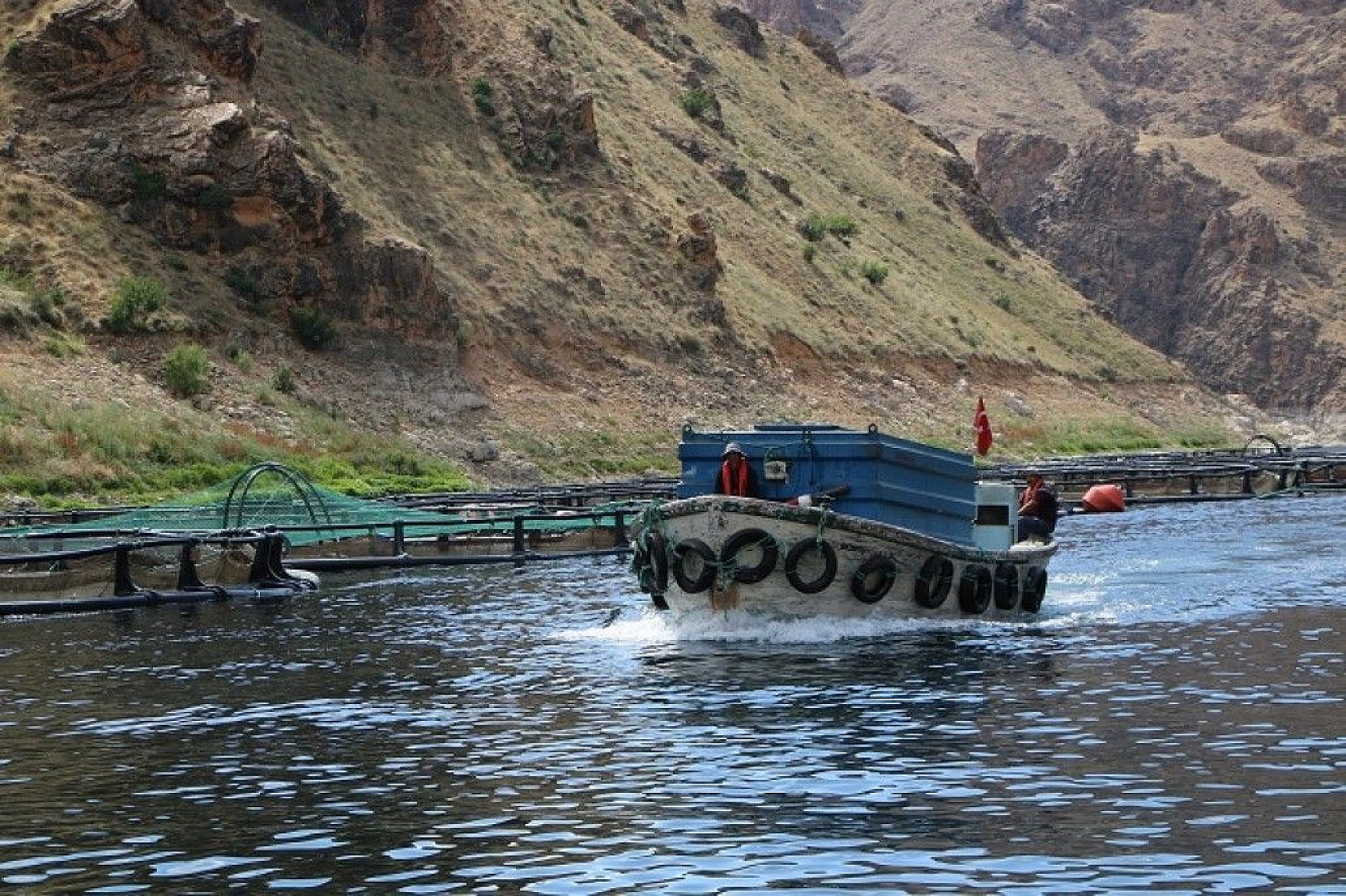 Türkiye'nin üretim merkezi Elazığ'dan dünyaya Türk Somonu