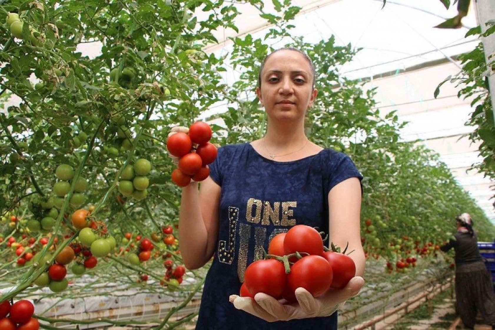 Topraksız tarım hem kadınlara iş kapısı oldu, hem de yılın 10 ayında üretim yapılmaya başlandı