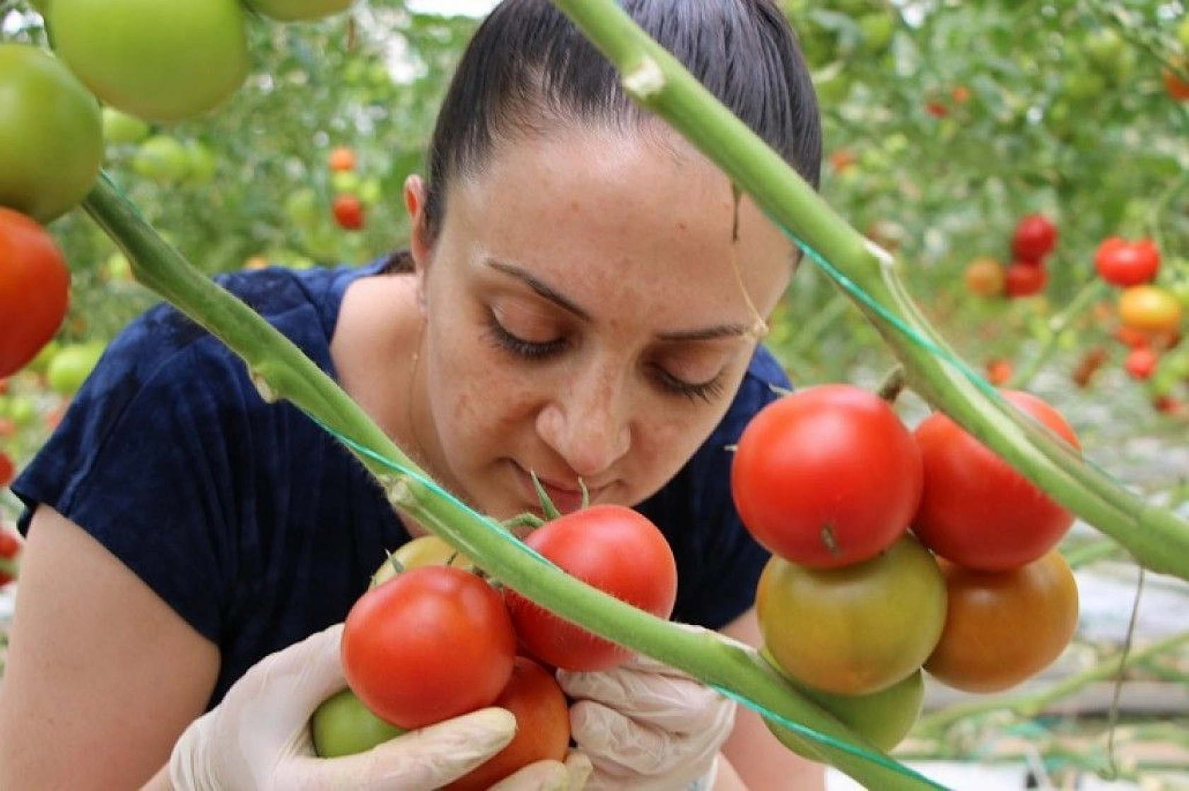 Topraksız tarım hem kadınlara iş kapısı oldu, hem de yılın 10 ayında üretim yapılmaya başlandı
