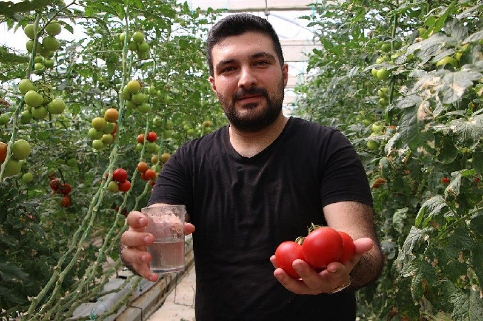 Topraksız tarım hem kadınlara iş kapısı oldu, hem de yılın 10 ayında üretim yapılmaya başlandı