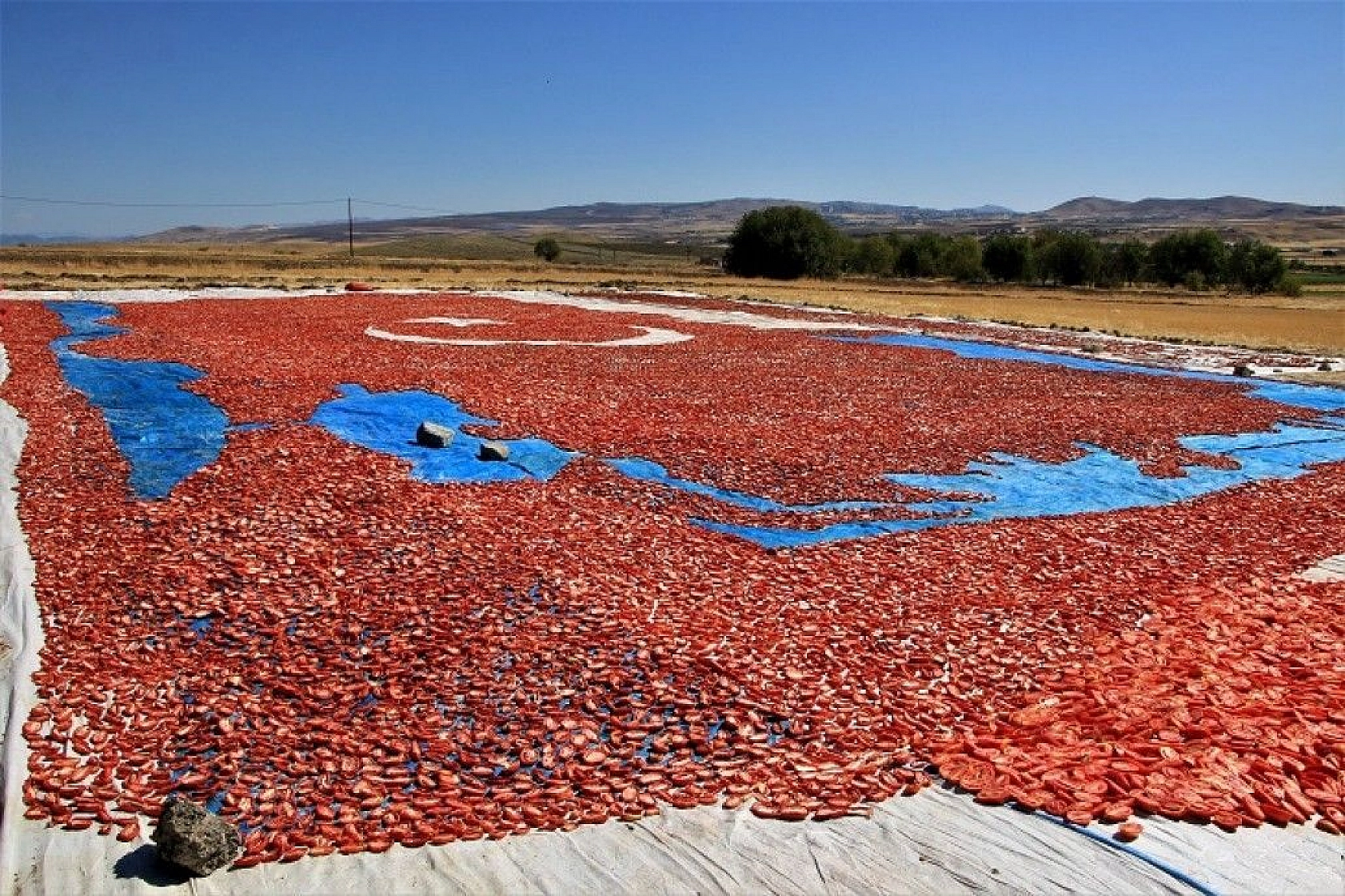 Kurutmalık domateslerle ay yıldızlı Türkiye haritası oluşturuldu