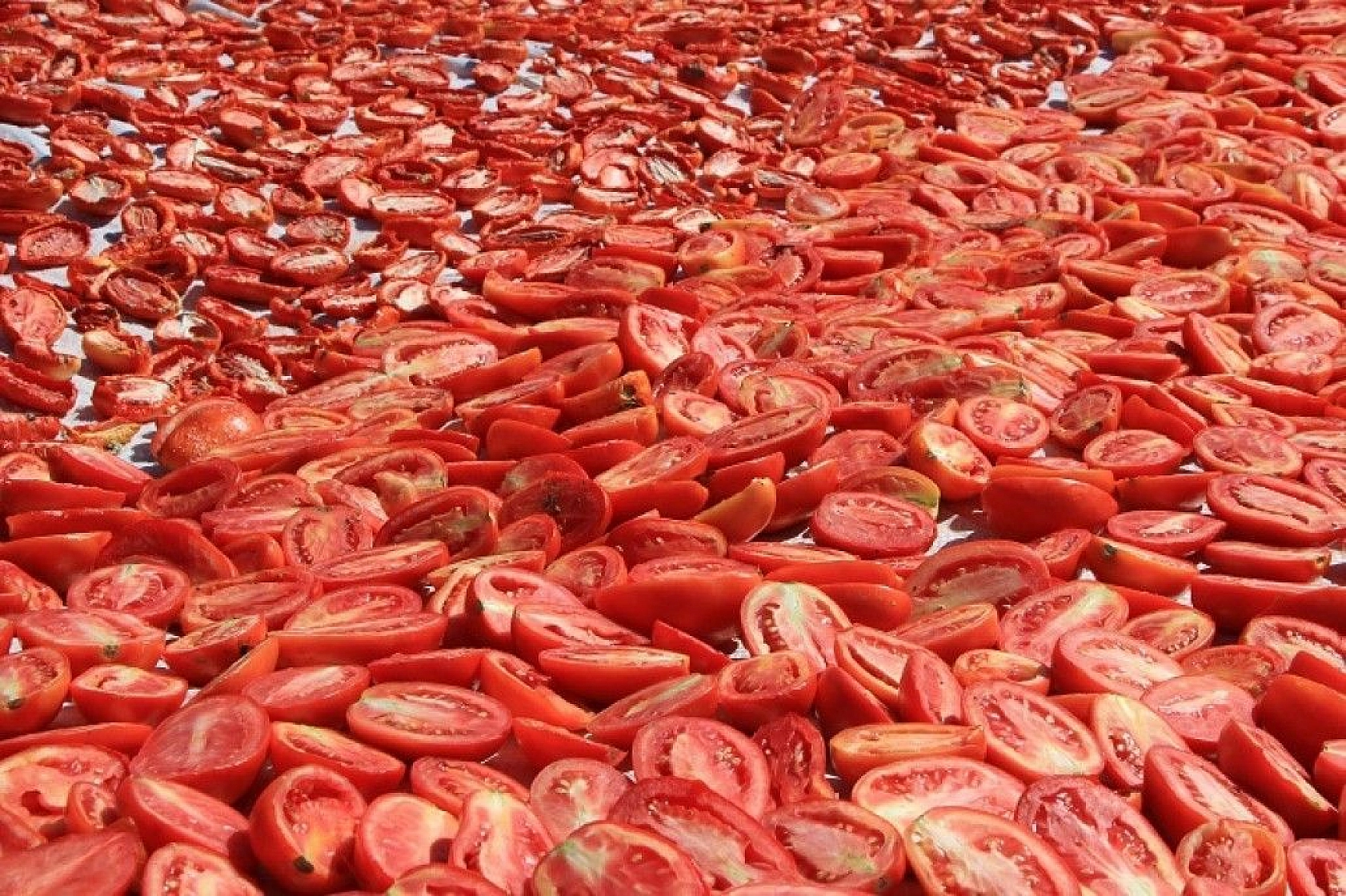 Kurutmalık domateslerle ay yıldızlı Türkiye haritası oluşturuldu