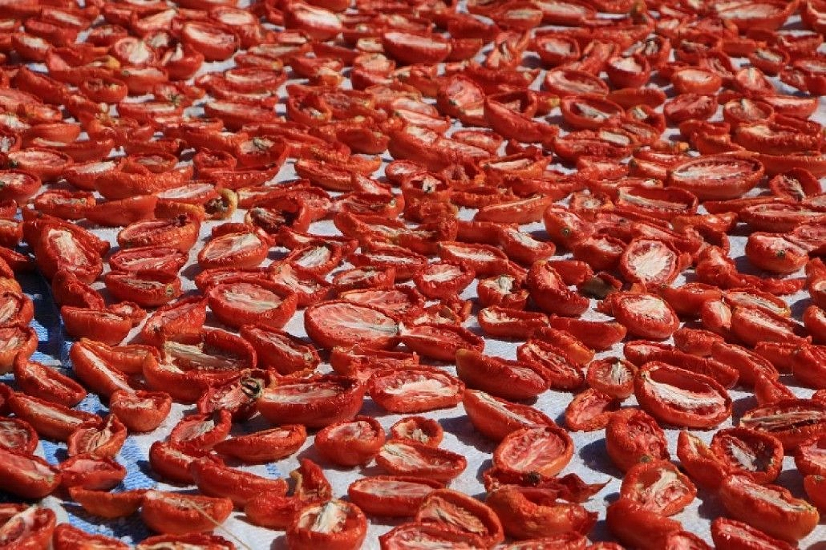 Kurutmalık domateslerle ay yıldızlı Türkiye haritası oluşturuldu