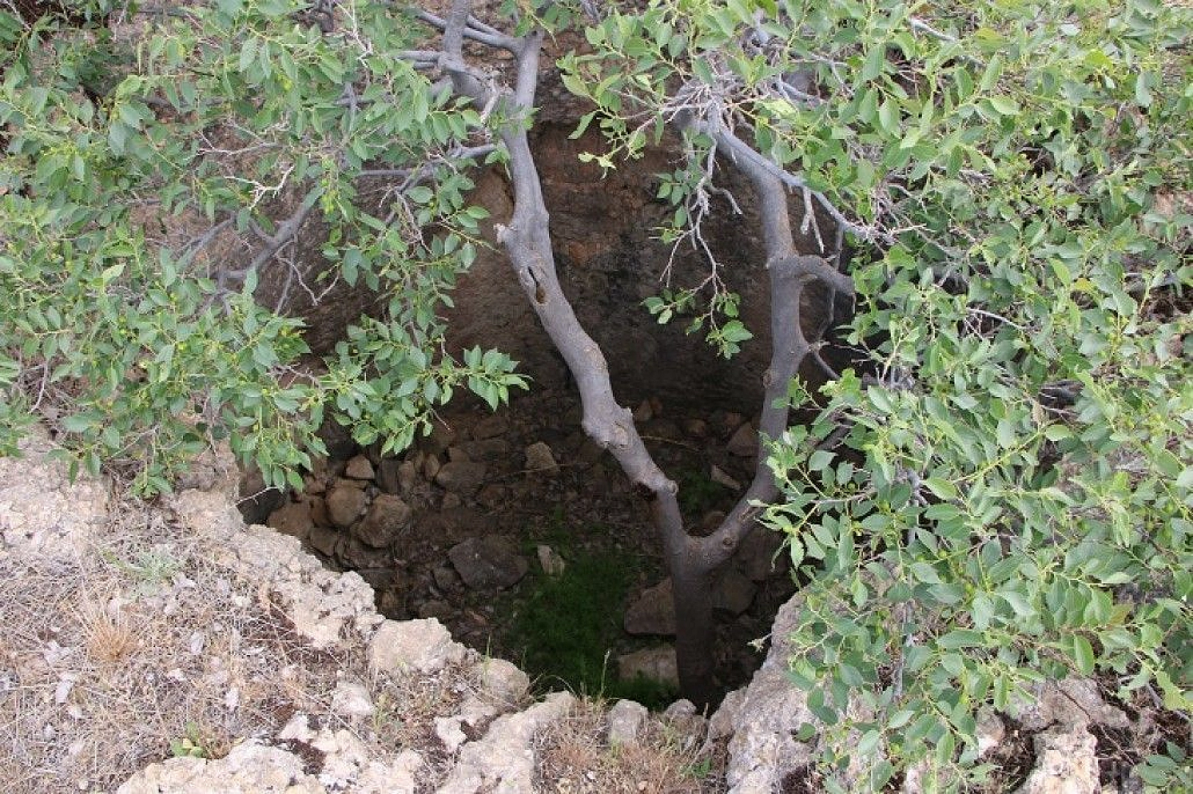 Urartular dönemine ait Tanrıverdi Kalesi ilk günkü ihtişamını koruyor