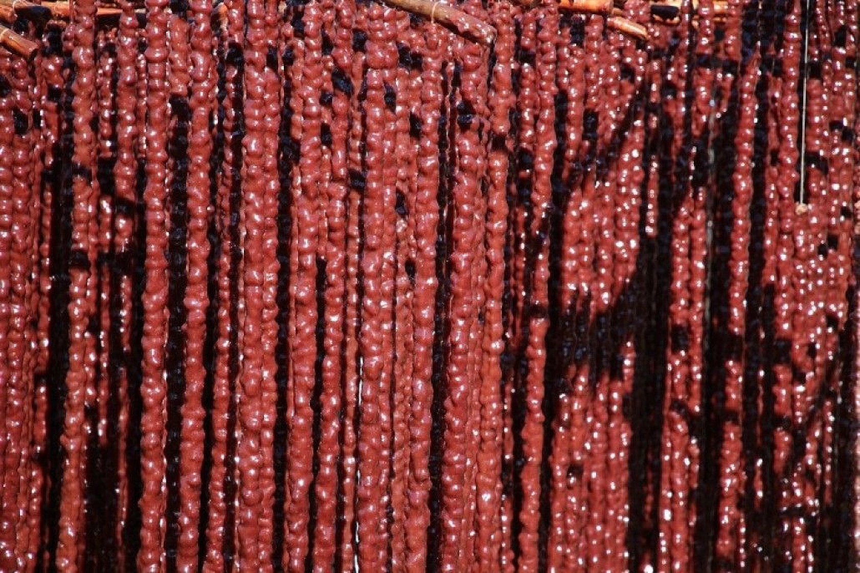 Elazığ'ın vazgeçilmez tescilli lezzeti 'Orcik' için mesai başladı