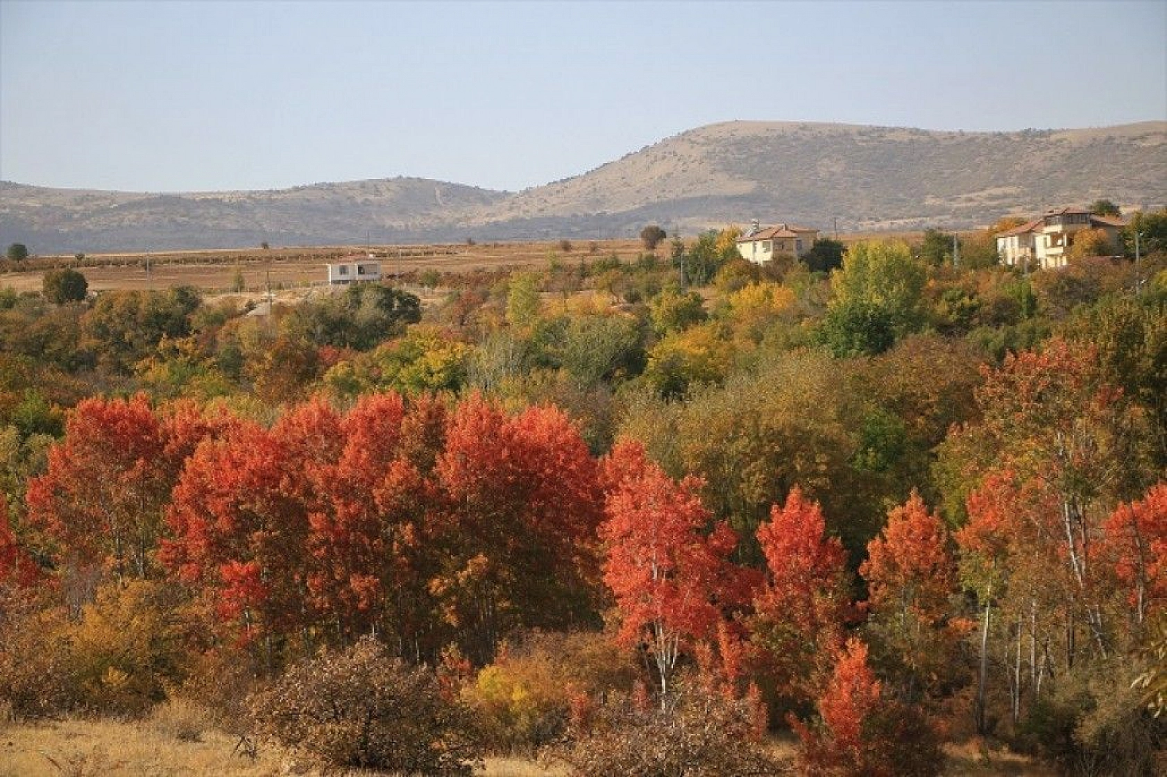 Elazığ'da sonbaharda rengarenk olan ağaçlar havadan görüntülendi