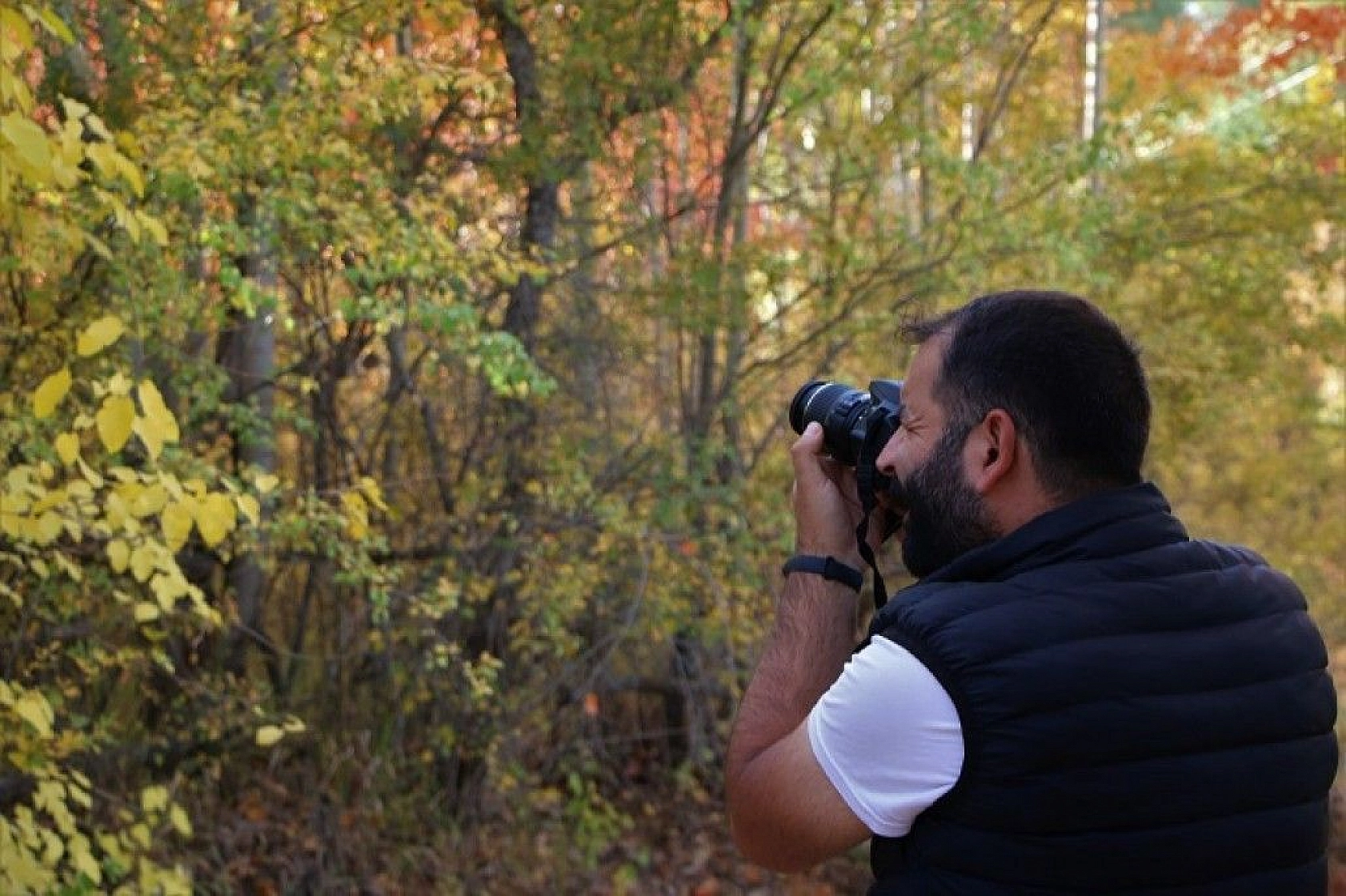 Elazığ'da sonbaharda rengarenk olan ağaçlar havadan görüntülendi