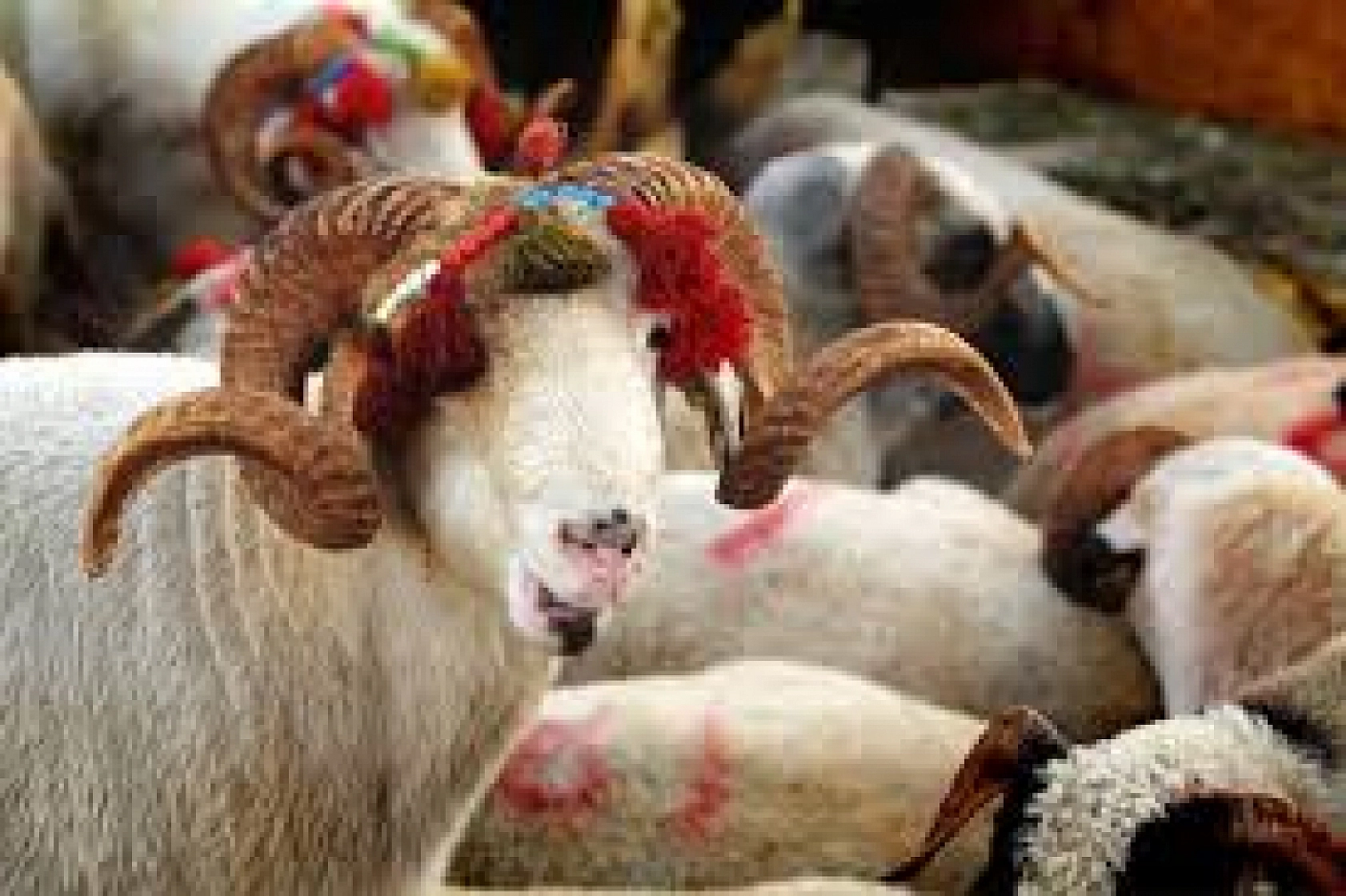 Elazığ'da Herkes Oraya Koşacak!