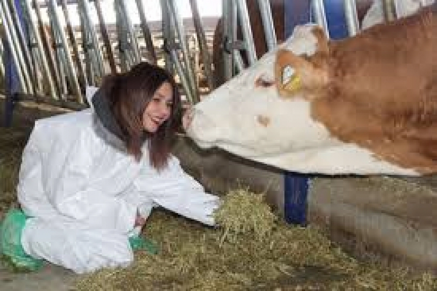 Elazığ, Malatya, Adıyaman, Hatay, Kahramanmaraş, Adana, Diyarbakır, Şanlıurfa Müjde!