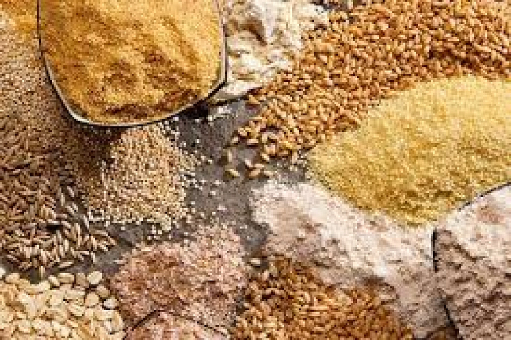 Elazığ'da Büyük Heyecan: Uğraşlar 3 Ay Sürecek, Depolar Dolacak!