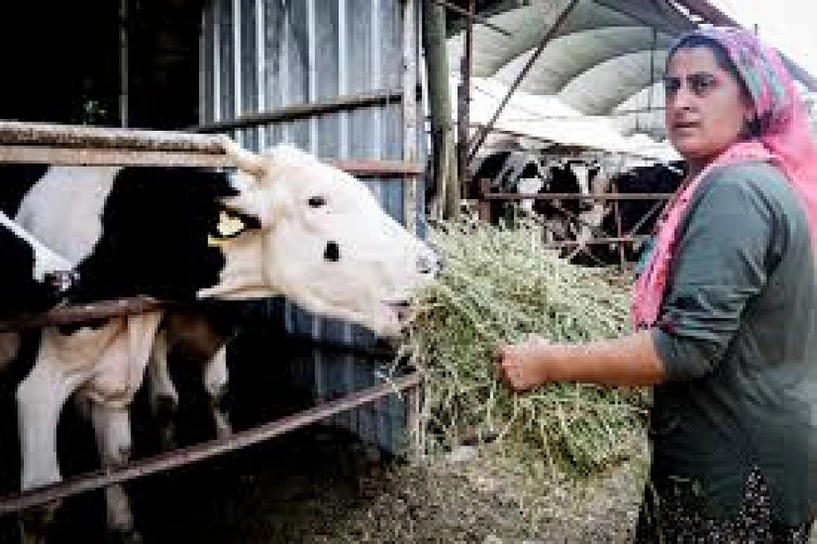 Elazığ, Malatya, Adıyaman, Hatay, Kahramanmaraş, Adana, Diyarbakır, Şanlıurfa Müjde!