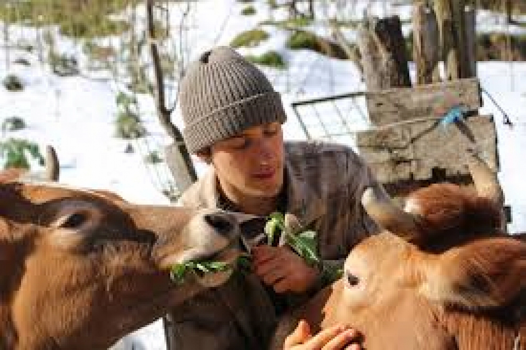 Elazığ, Malatya, Adıyaman, Hatay, Kahramanmaraş, Adana, Diyarbakır, Şanlıurfa Müjde!