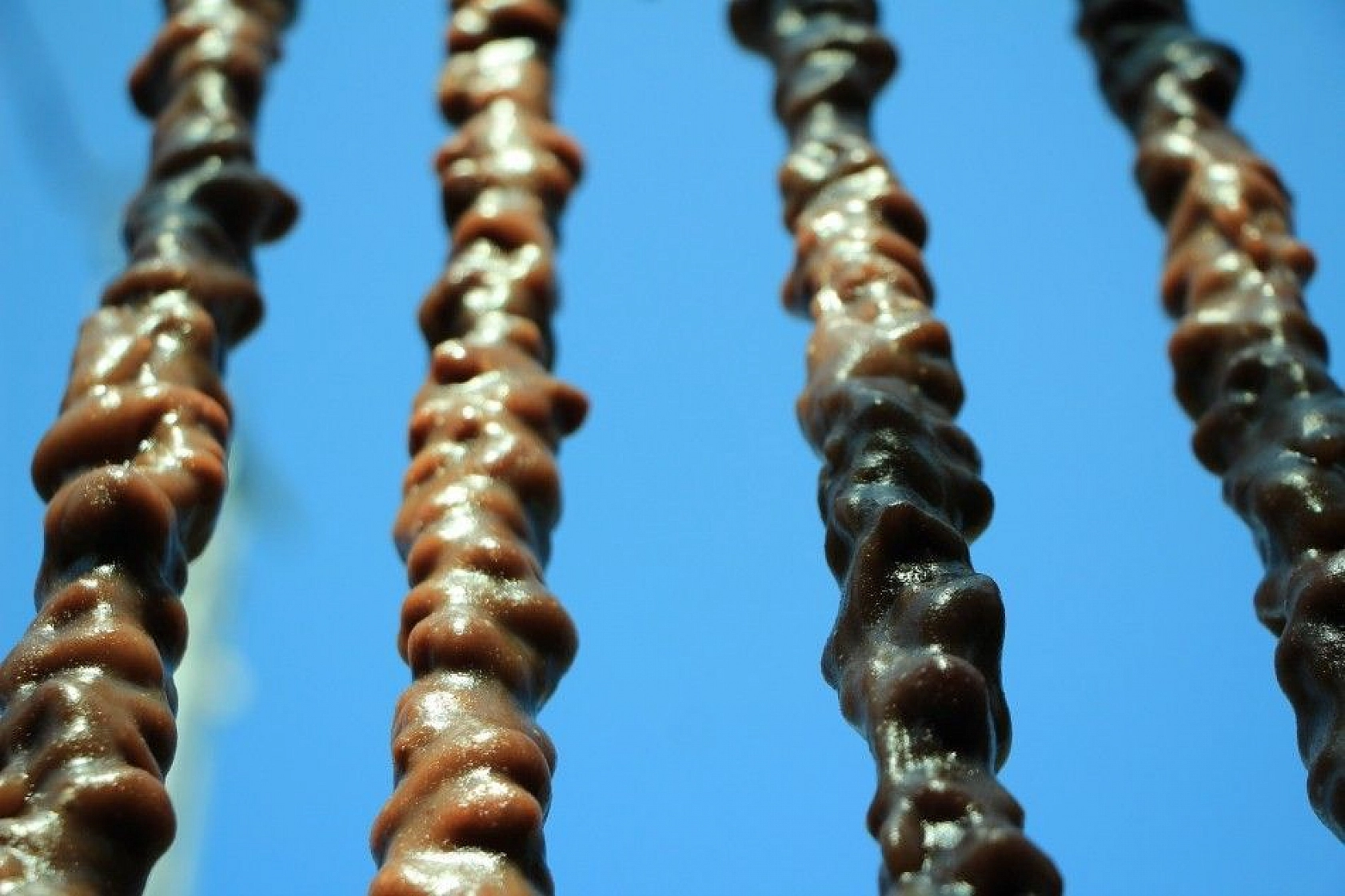 Elazığ'ın tescilli lezzeti 'Orcik'