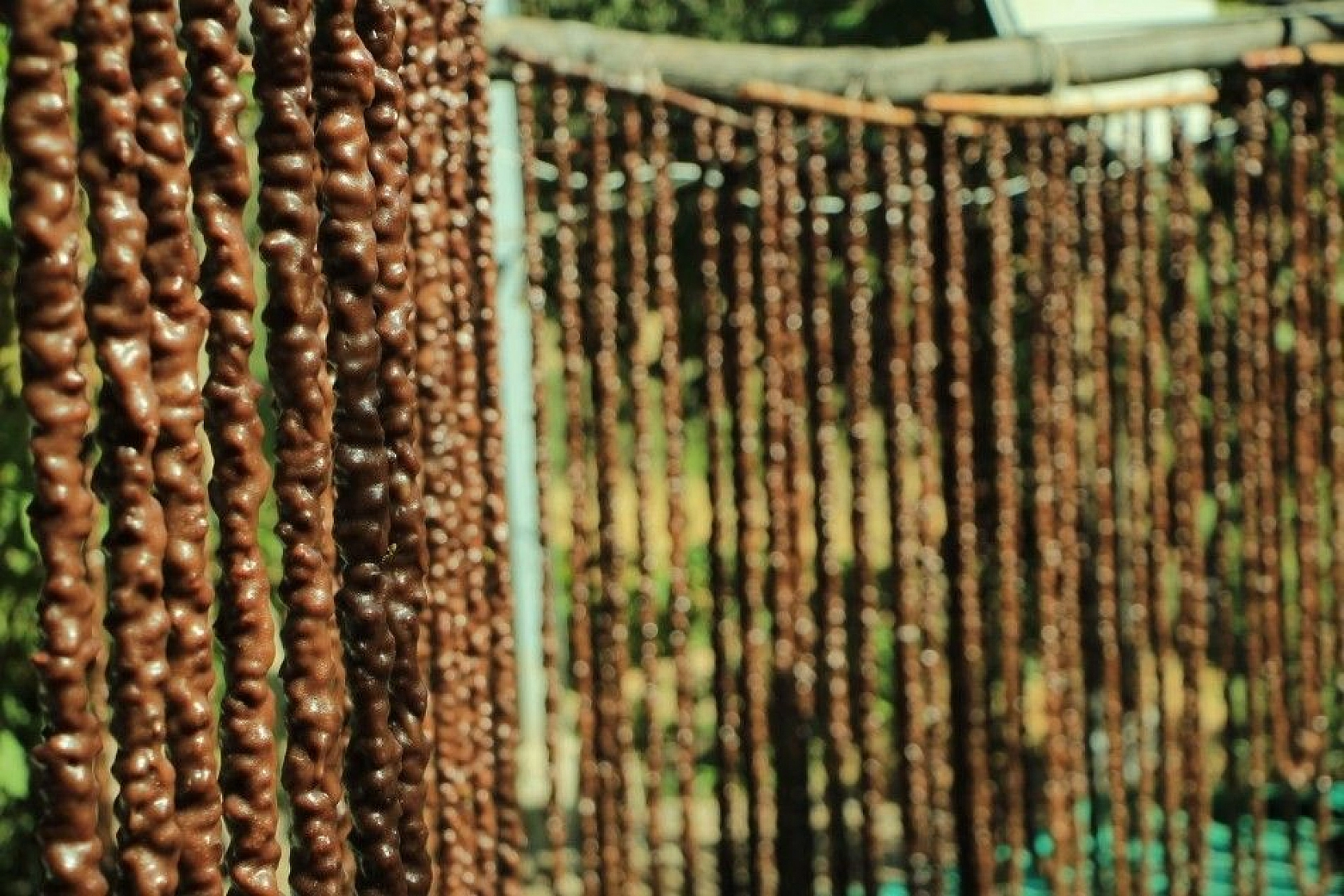 Elazığ'ın tescilli lezzeti 'Orcik'