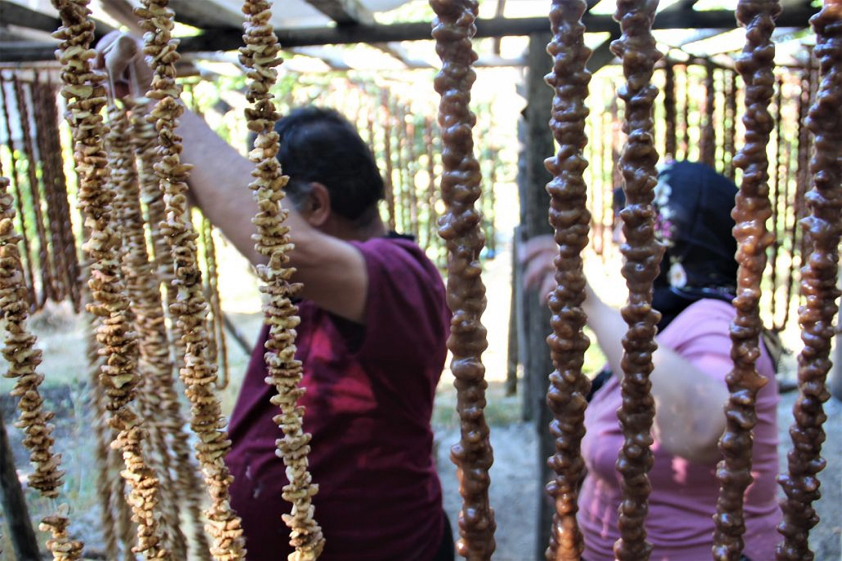 Elazığ orciği Almanya, Hollanda ve Amerika sofralarında