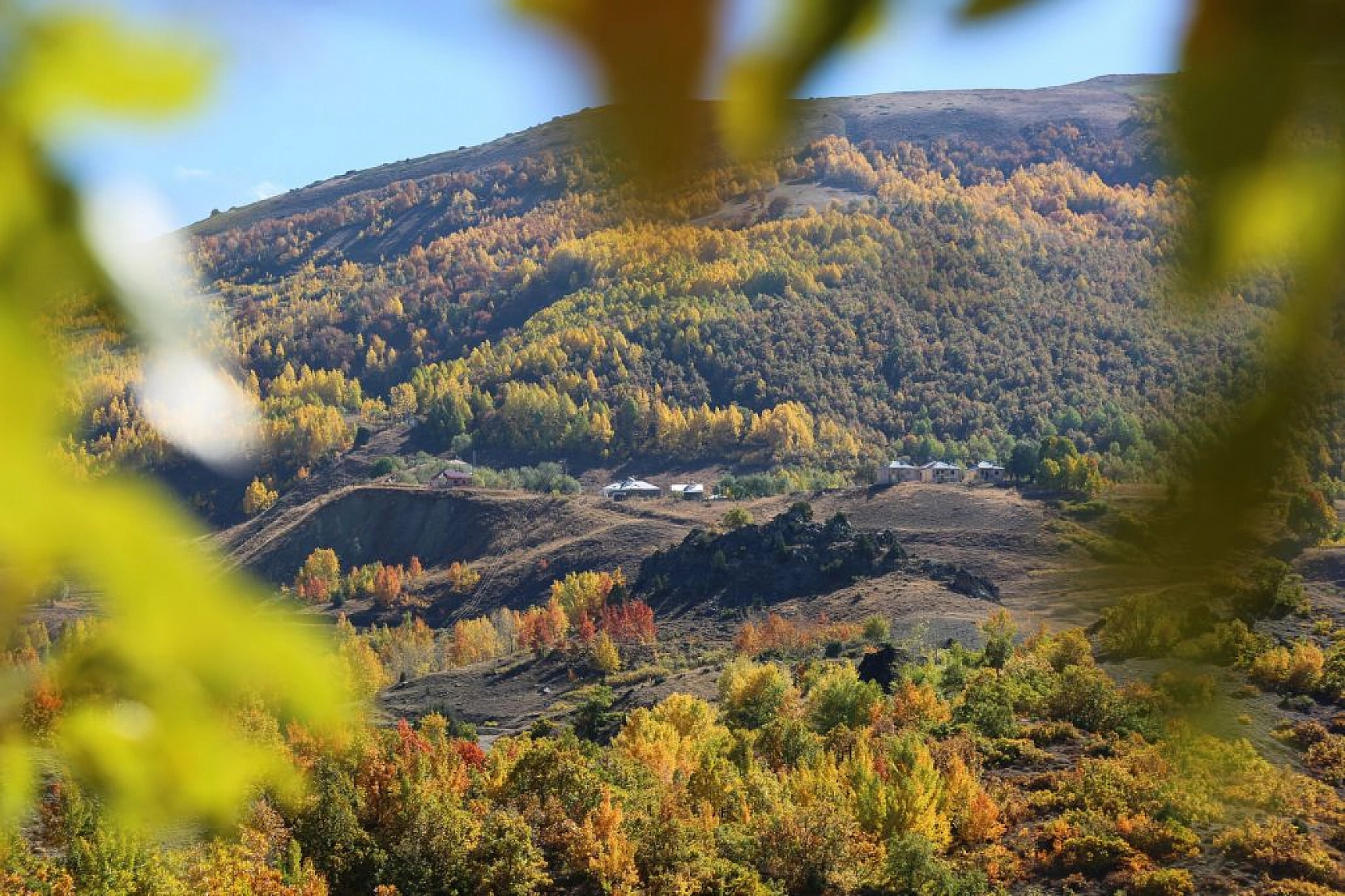 Sonbahar renklerine bürünen Tunceli'de doğa, görsel şölen sunuyor