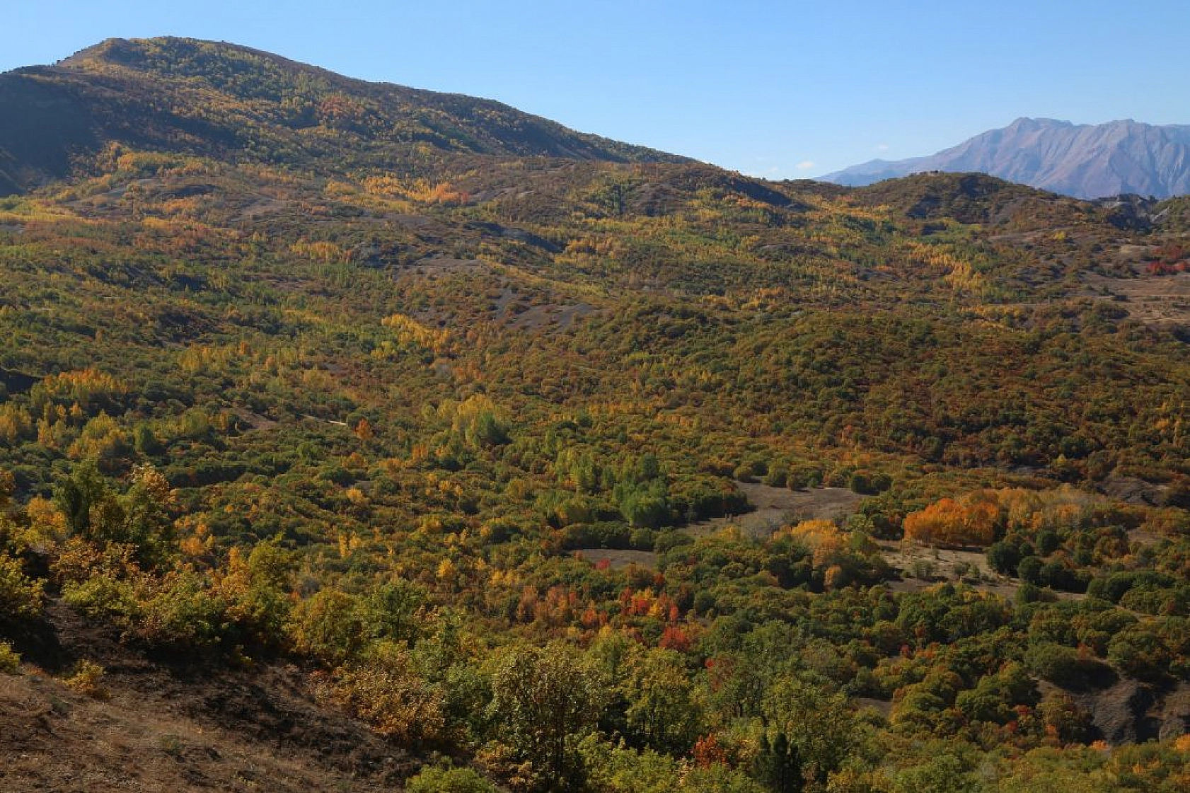 Sonbahar renklerine bürünen Tunceli'de doğa, görsel şölen sunuyor