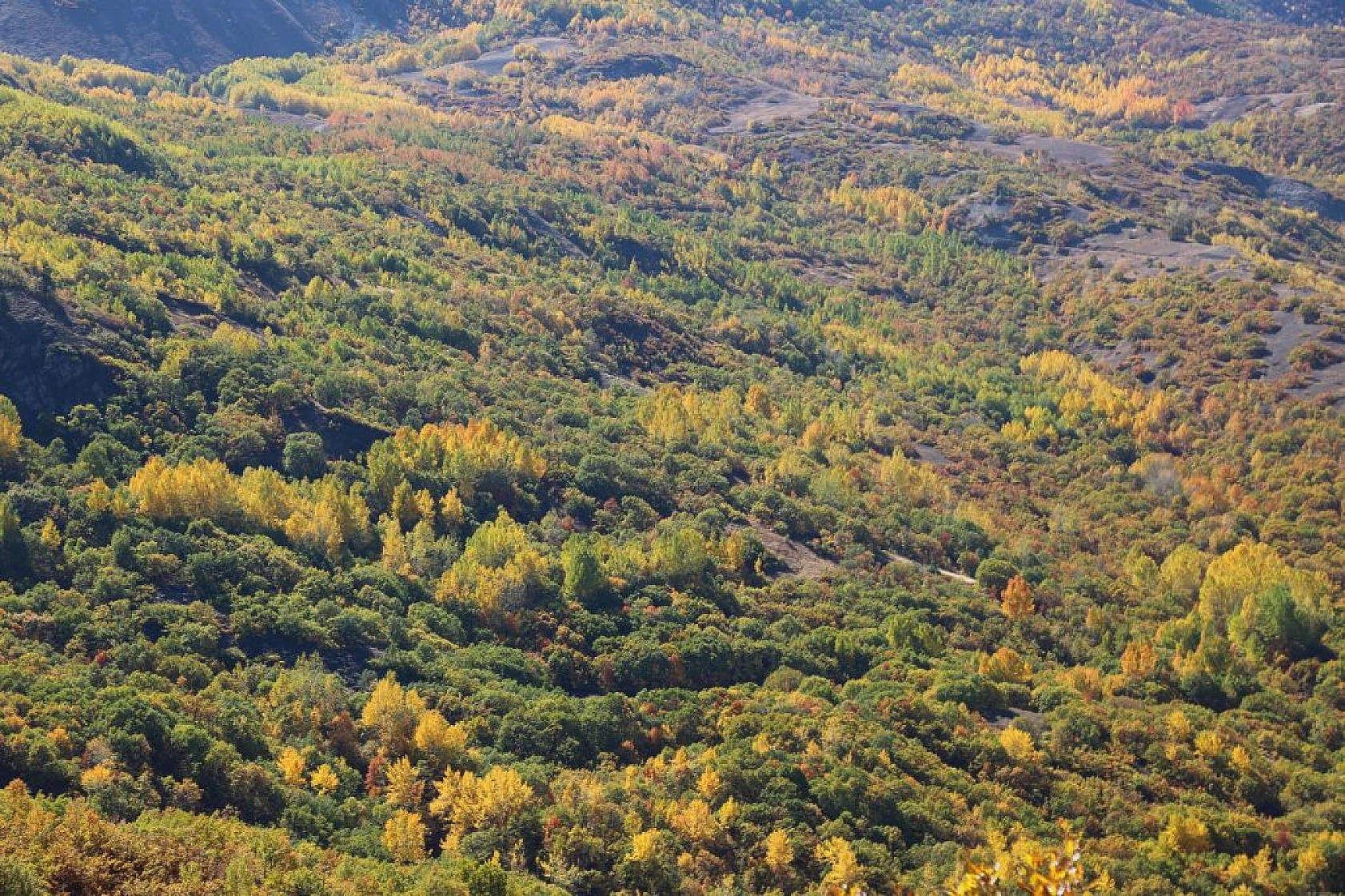Sonbahar renklerine bürünen Tunceli'de doğa, görsel şölen sunuyor