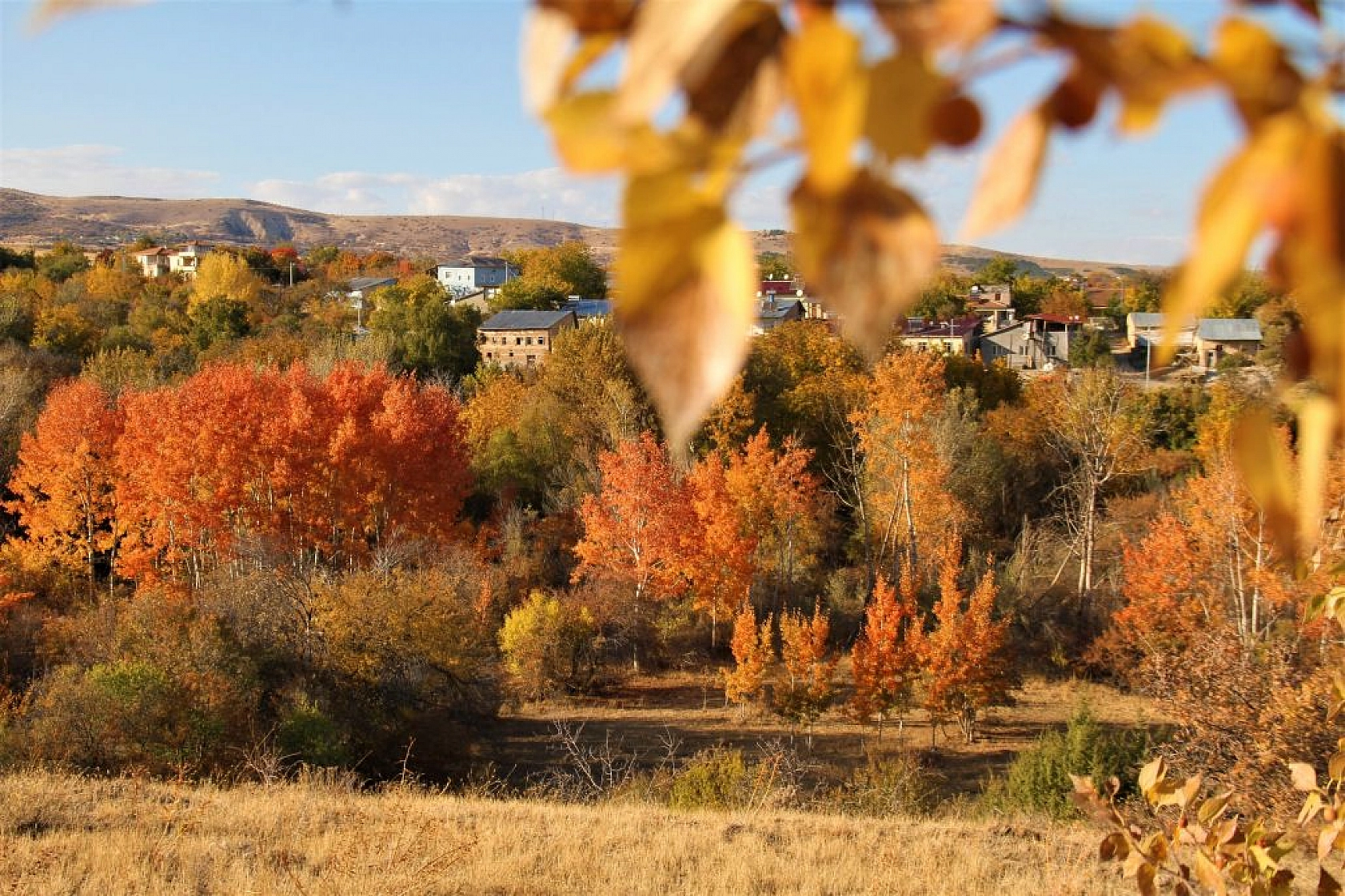 Elazığ'da sonbahar güzelliği