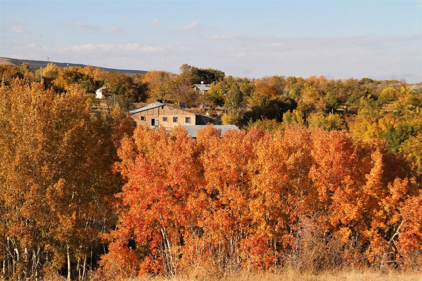 Elazığ'da sonbahar güzelliği