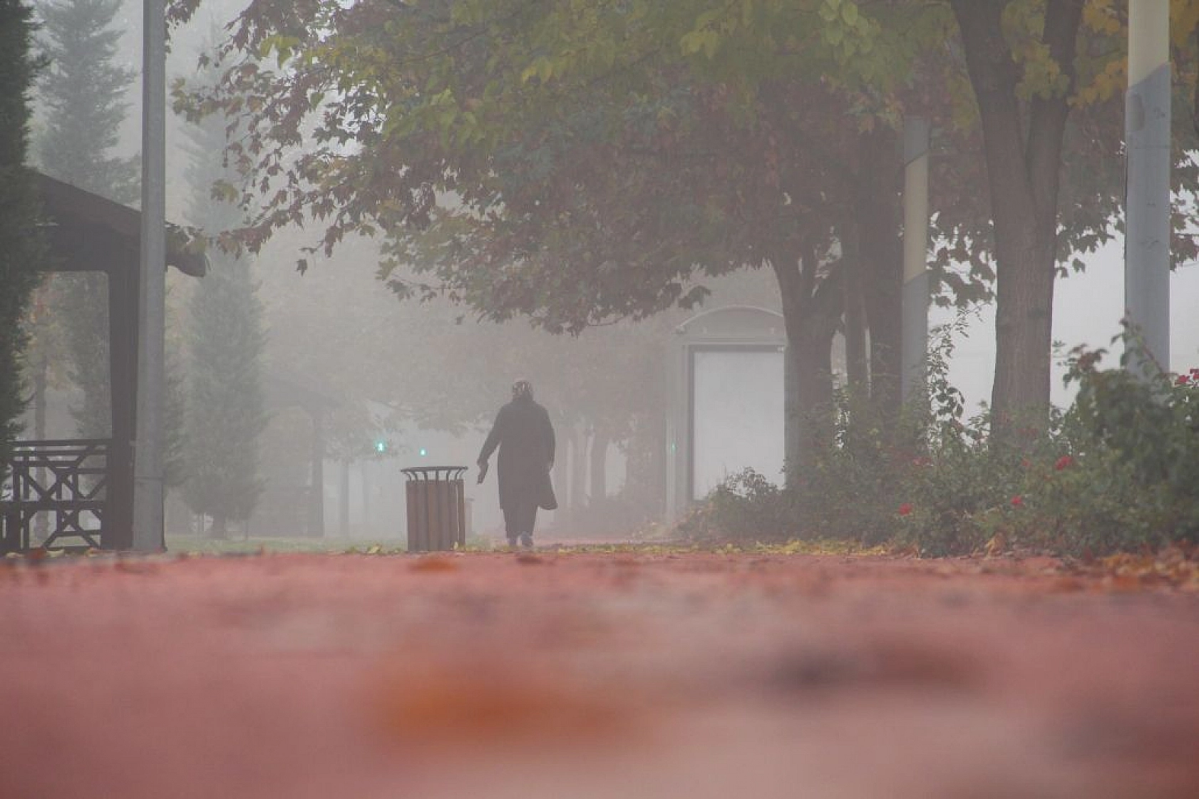 Elazığ'da sis etkili oldu