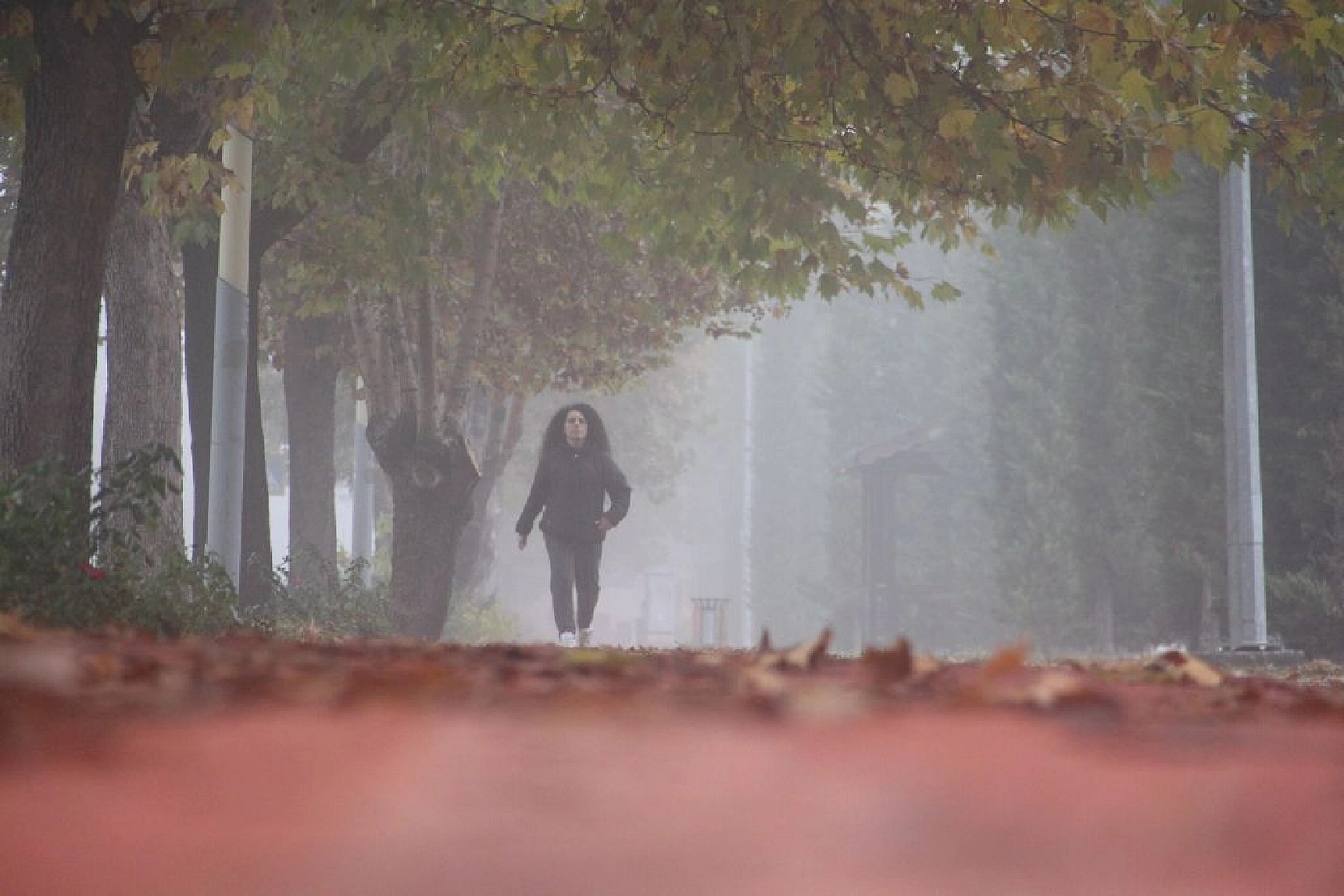 Elazığ'da sis etkili oldu
