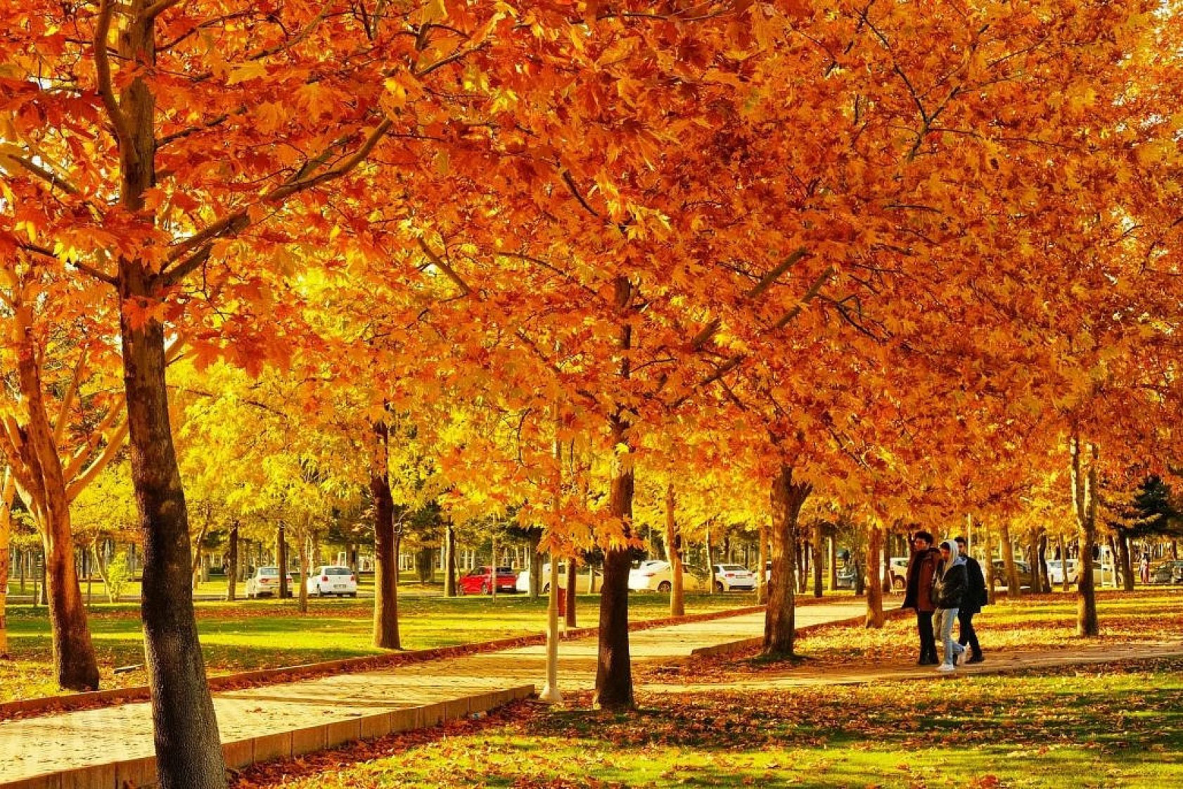 Fırat Üniversitesi kampüsünde sonbahar güzelliği