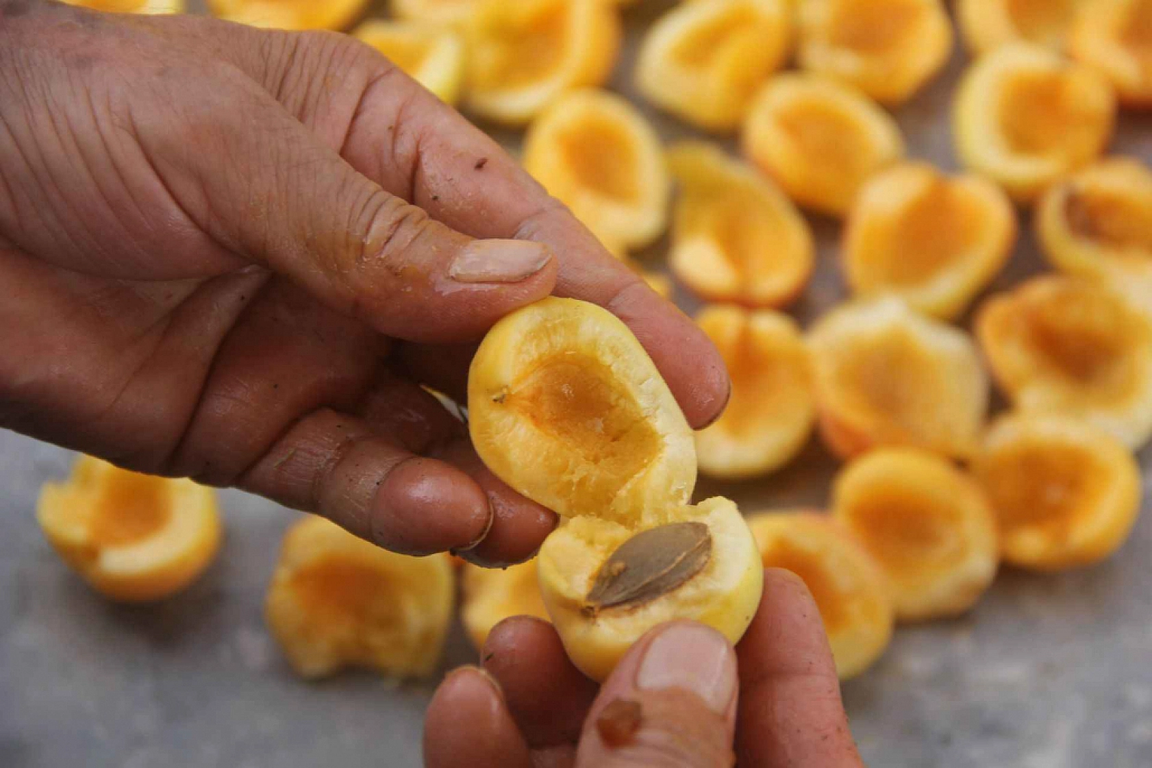 Elazığ'ın o ilçesi ve Malatya'ya döviz yağacak