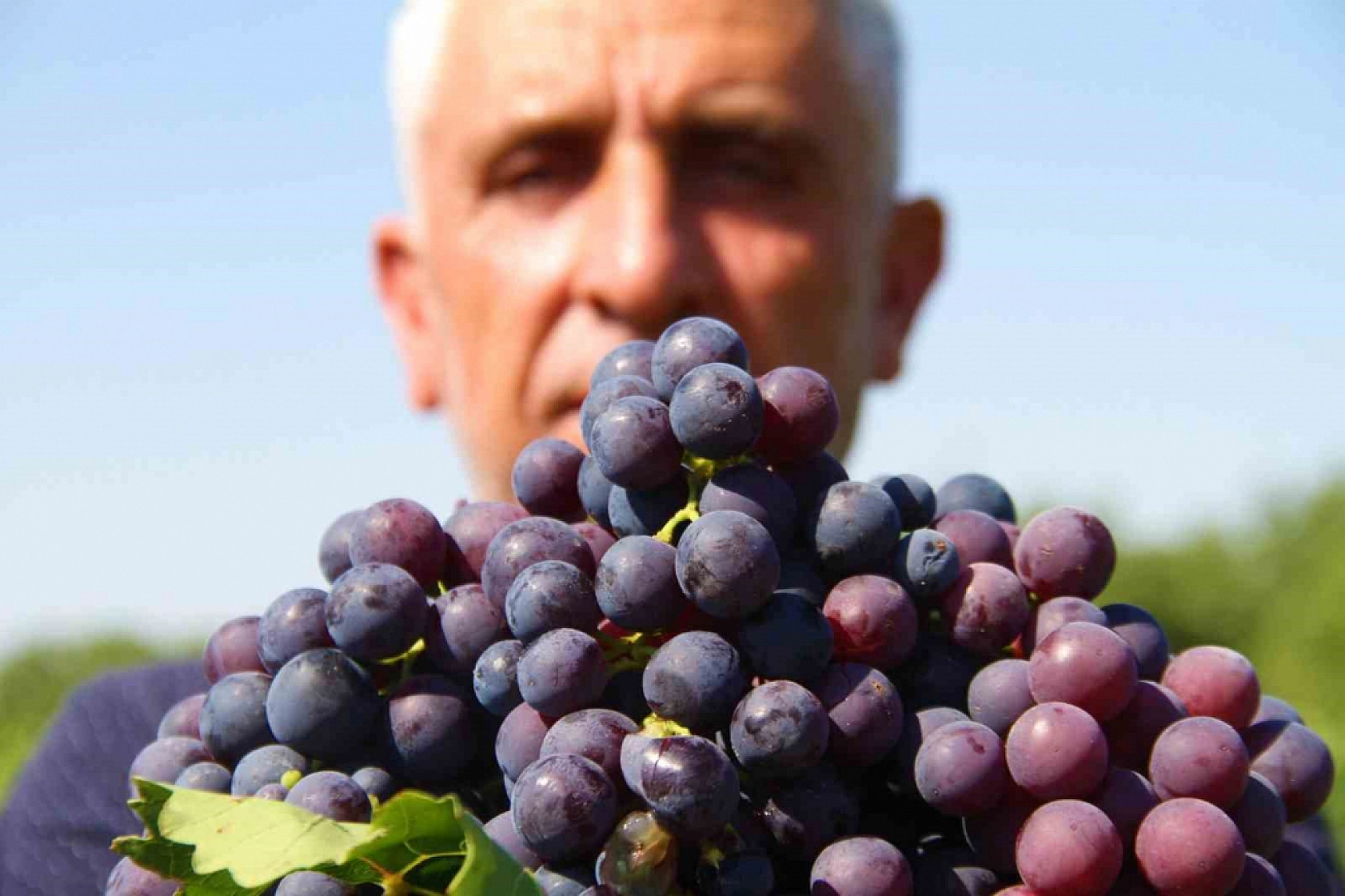 Elazığlıları sabırsızlandıran gelişme: poşetleri hazırlayın kapış kapış gidecek