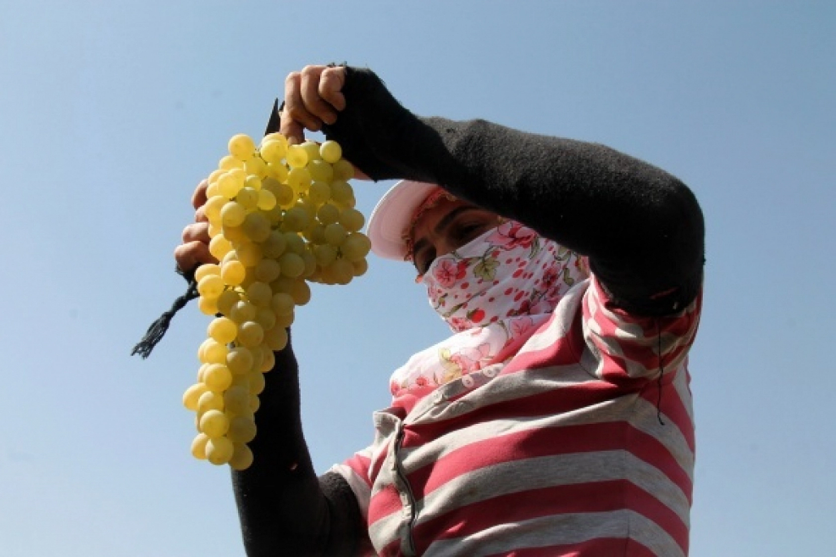 Elazığlıları sabırsızlandıran gelişme: poşetleri hazırlayın kapış kapış gidecek