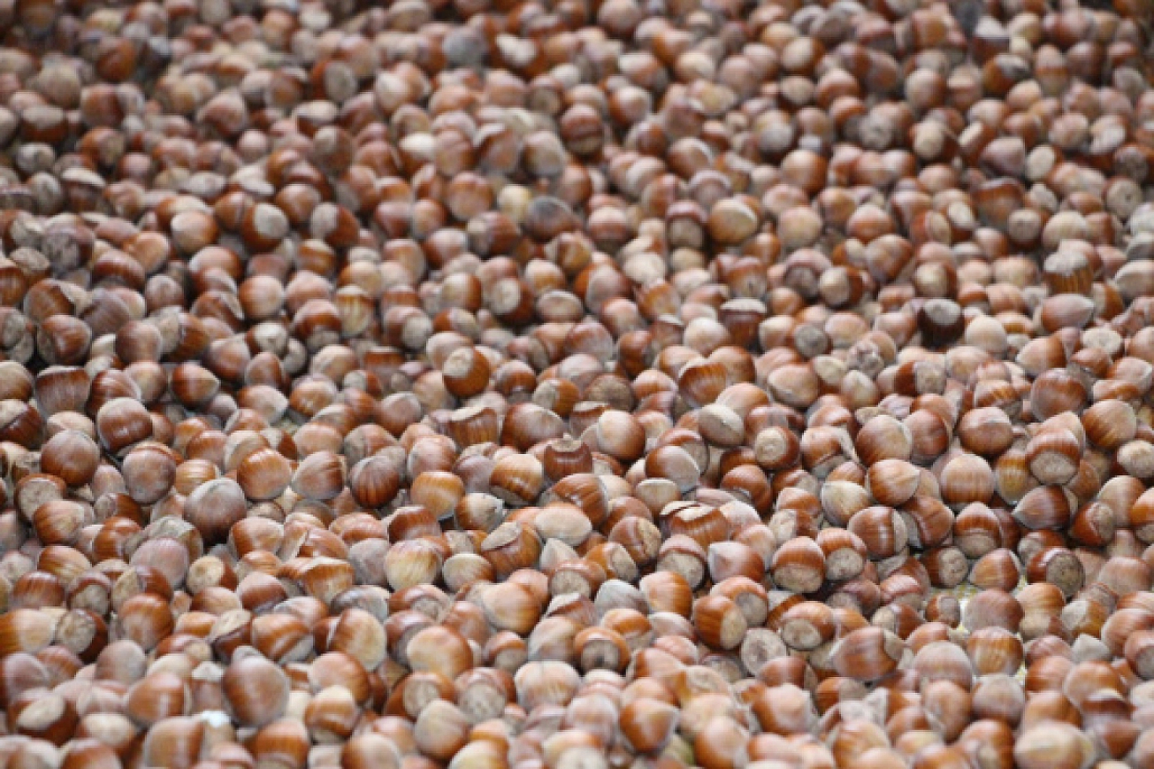 Bu Mesleği Yapanlar Yaşadı Saatte 3 Bin 500 TL Kazanıyorlar