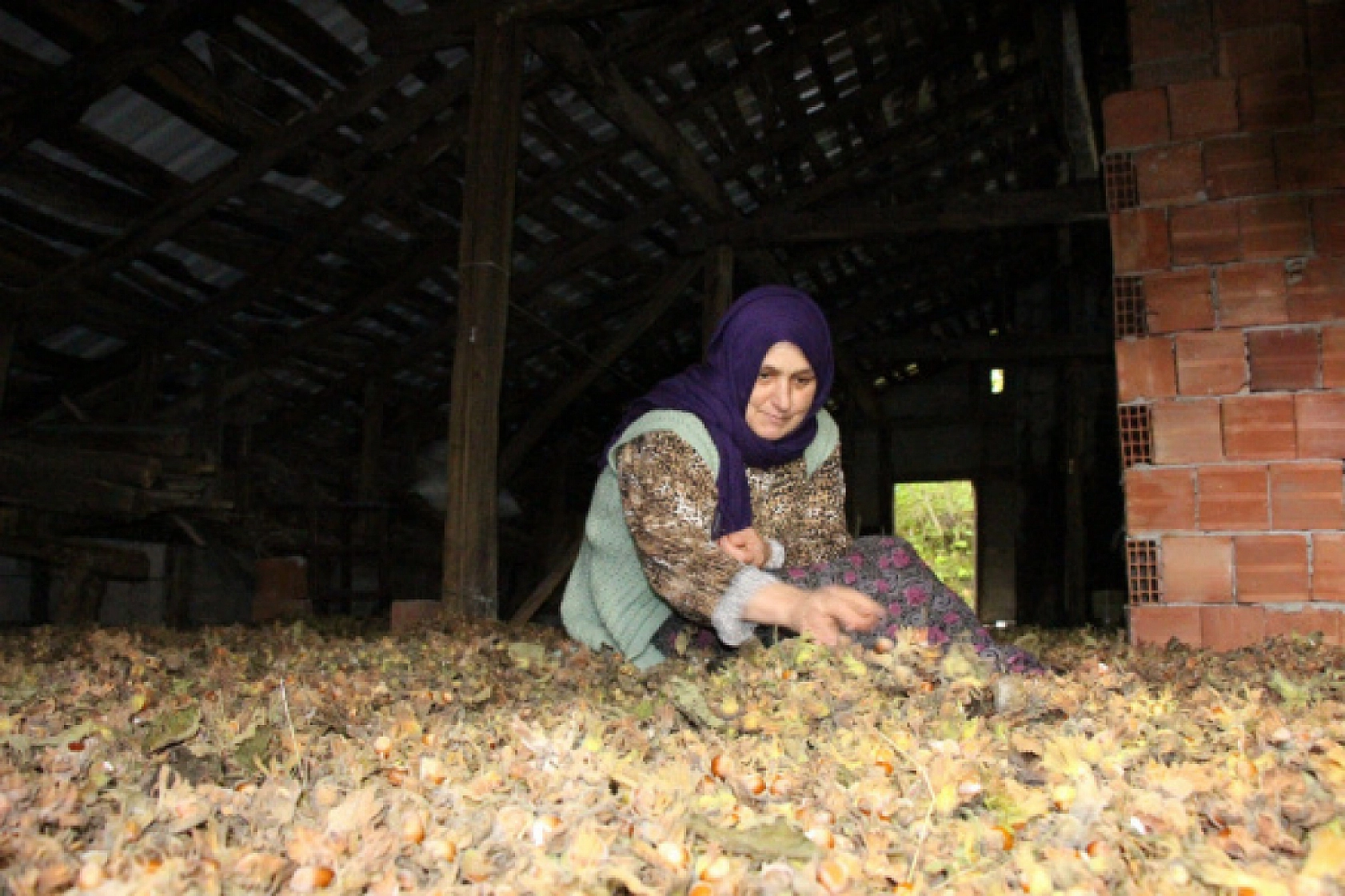 Bu Mesleği Yapanlar Yaşadı Saatte 3 Bin 500 TL Kazanıyorlar