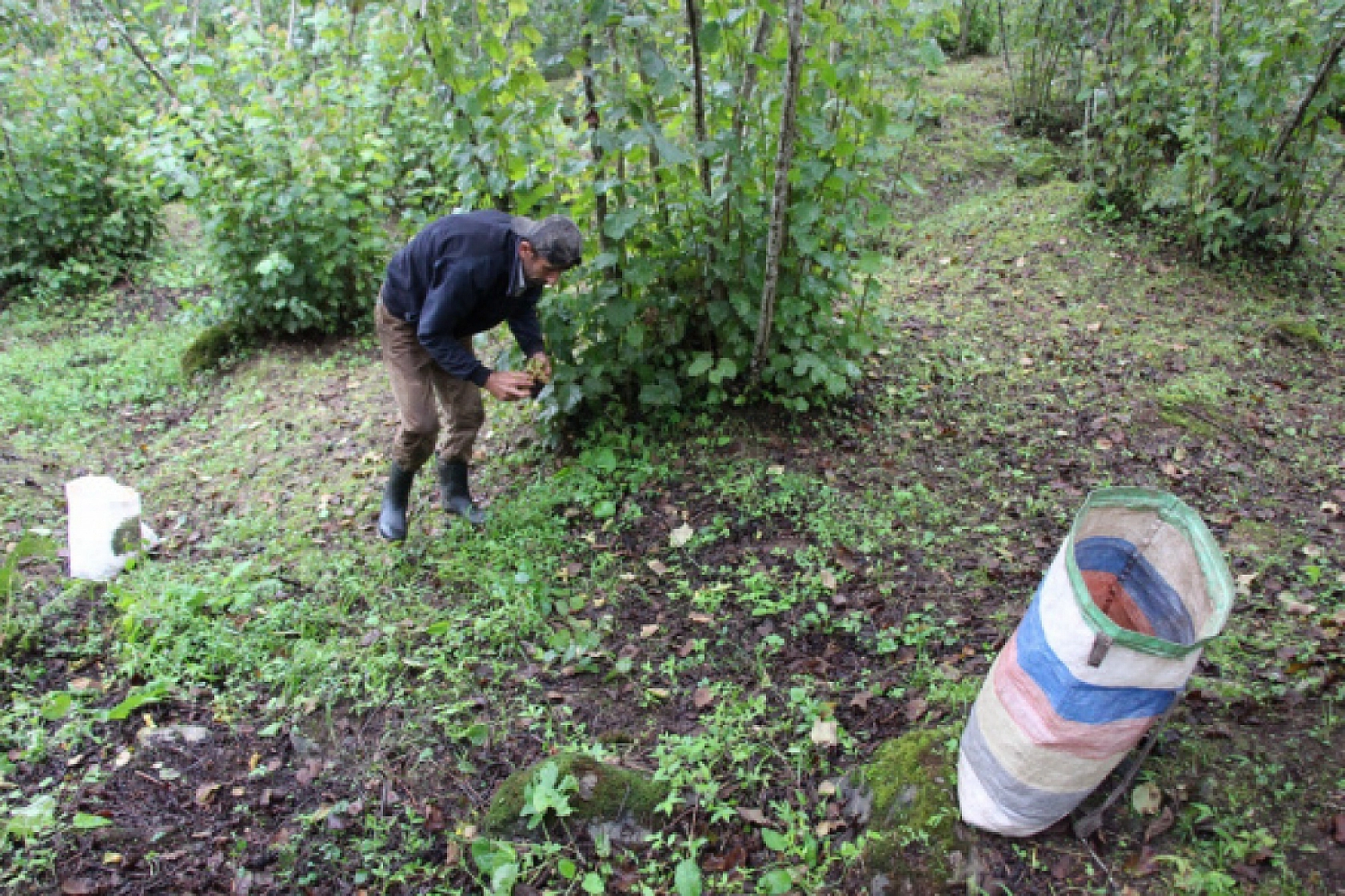 Bu Mesleği Yapanlar Yaşadı Saatte 3 Bin 500 TL Kazanıyorlar
