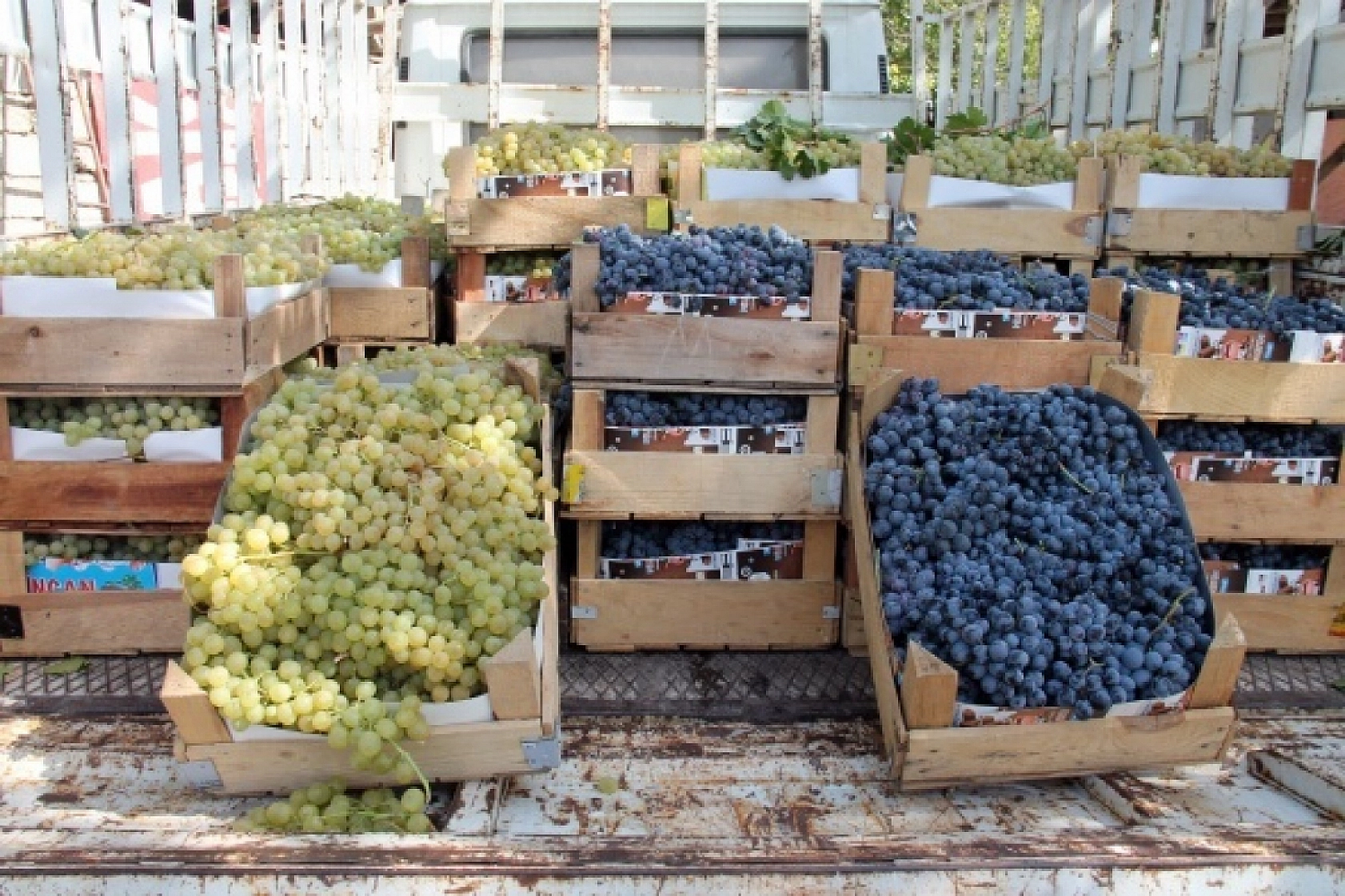 Elazığlıları sabırsızlandıran gelişme: poşetleri hazırlayın kapış kapış gidecek