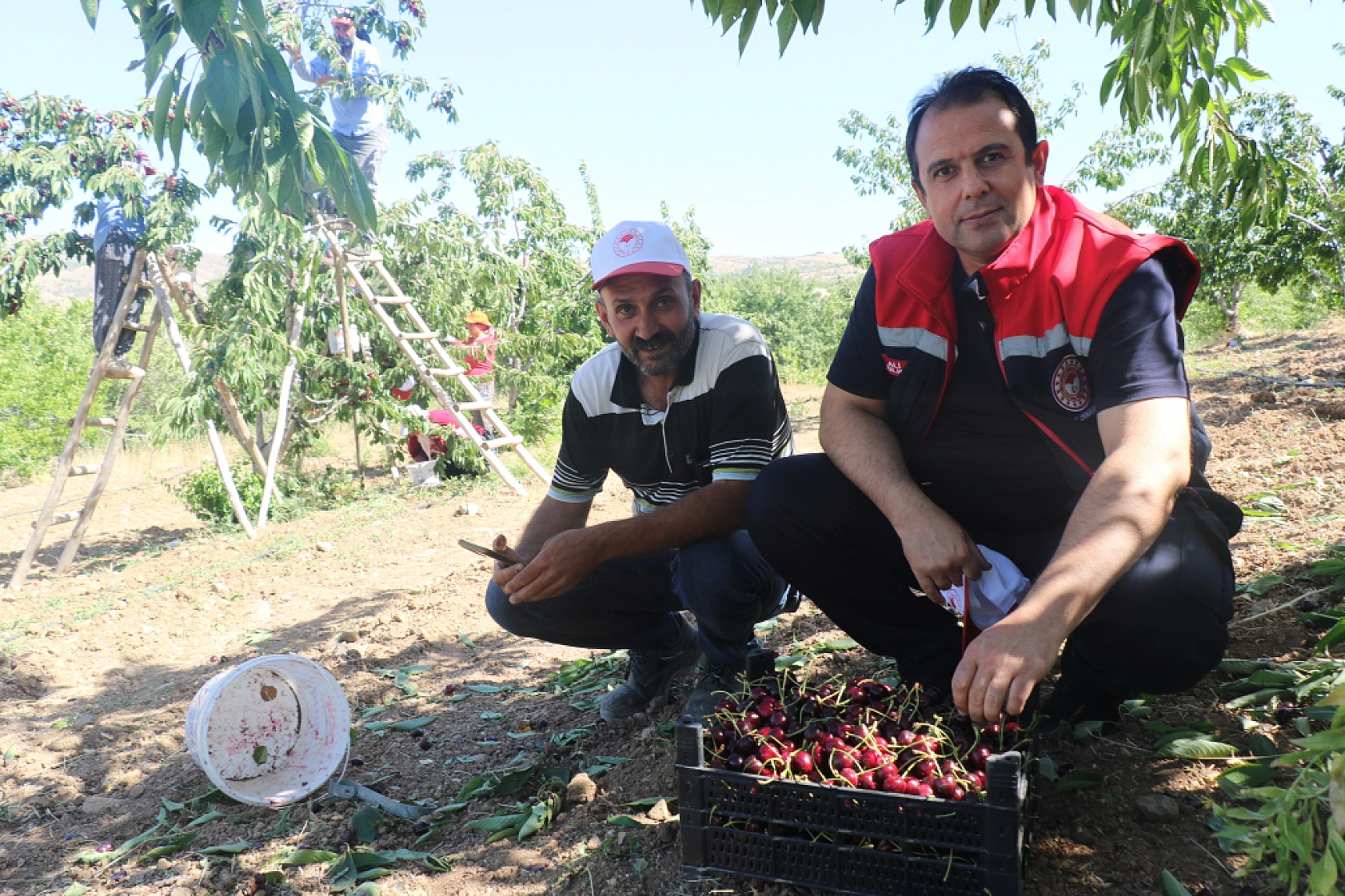 Elazığ'da Sezon Başladı Her Yerde Göreceksiniz