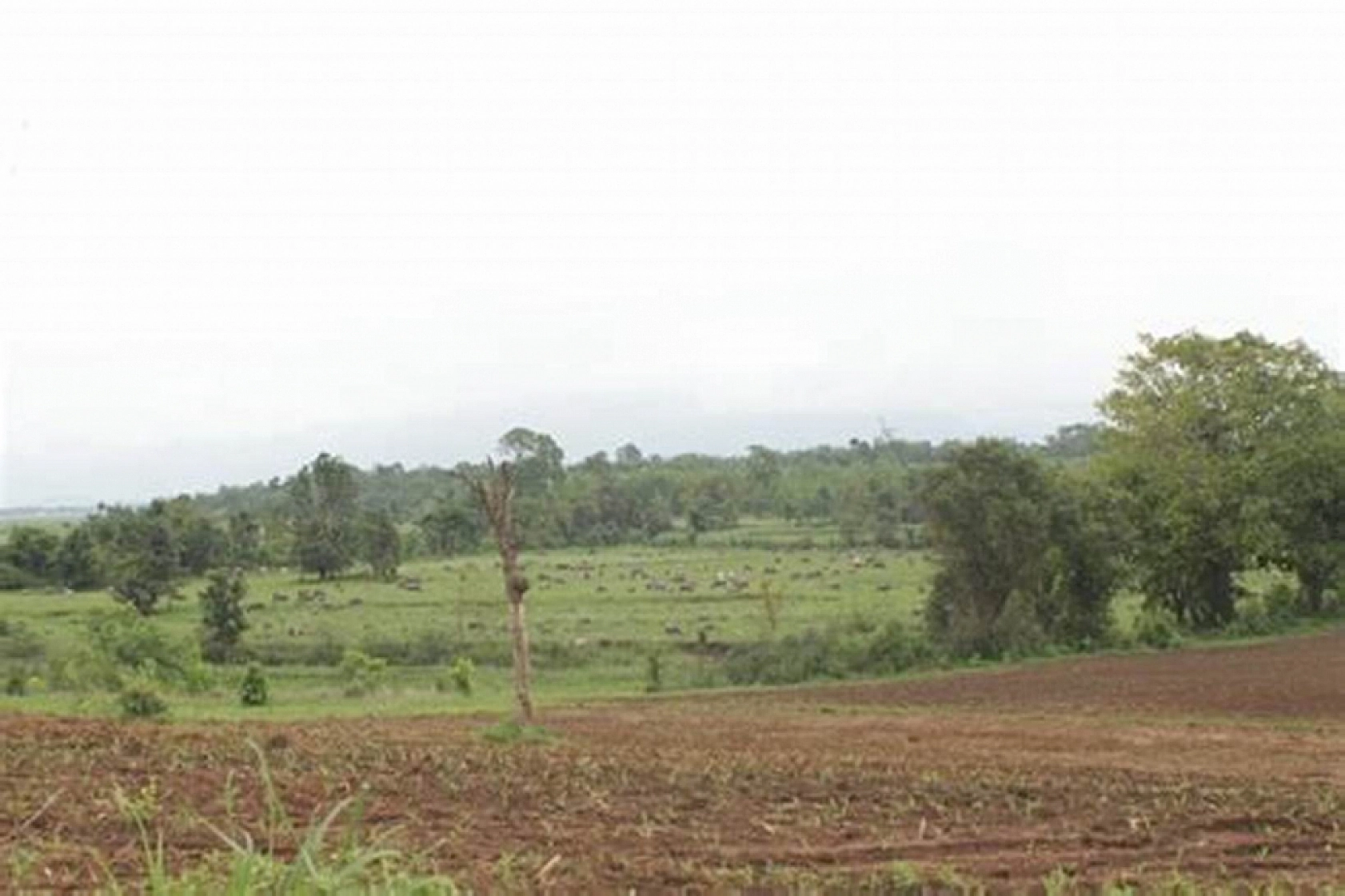 TOKİ Elazığ'da arsa satışı yapacak