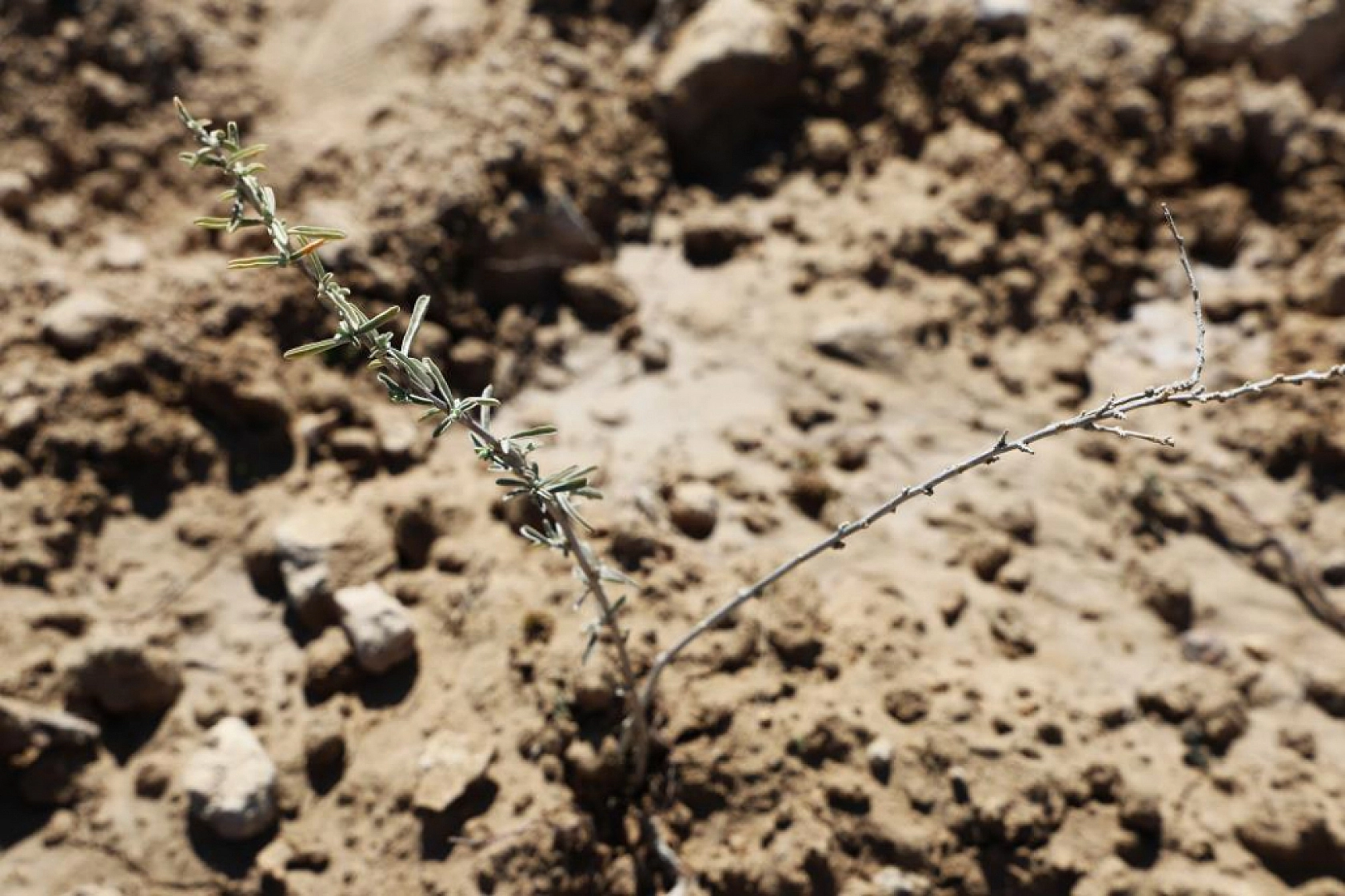 Elazığ Pilot İl Seçildi!